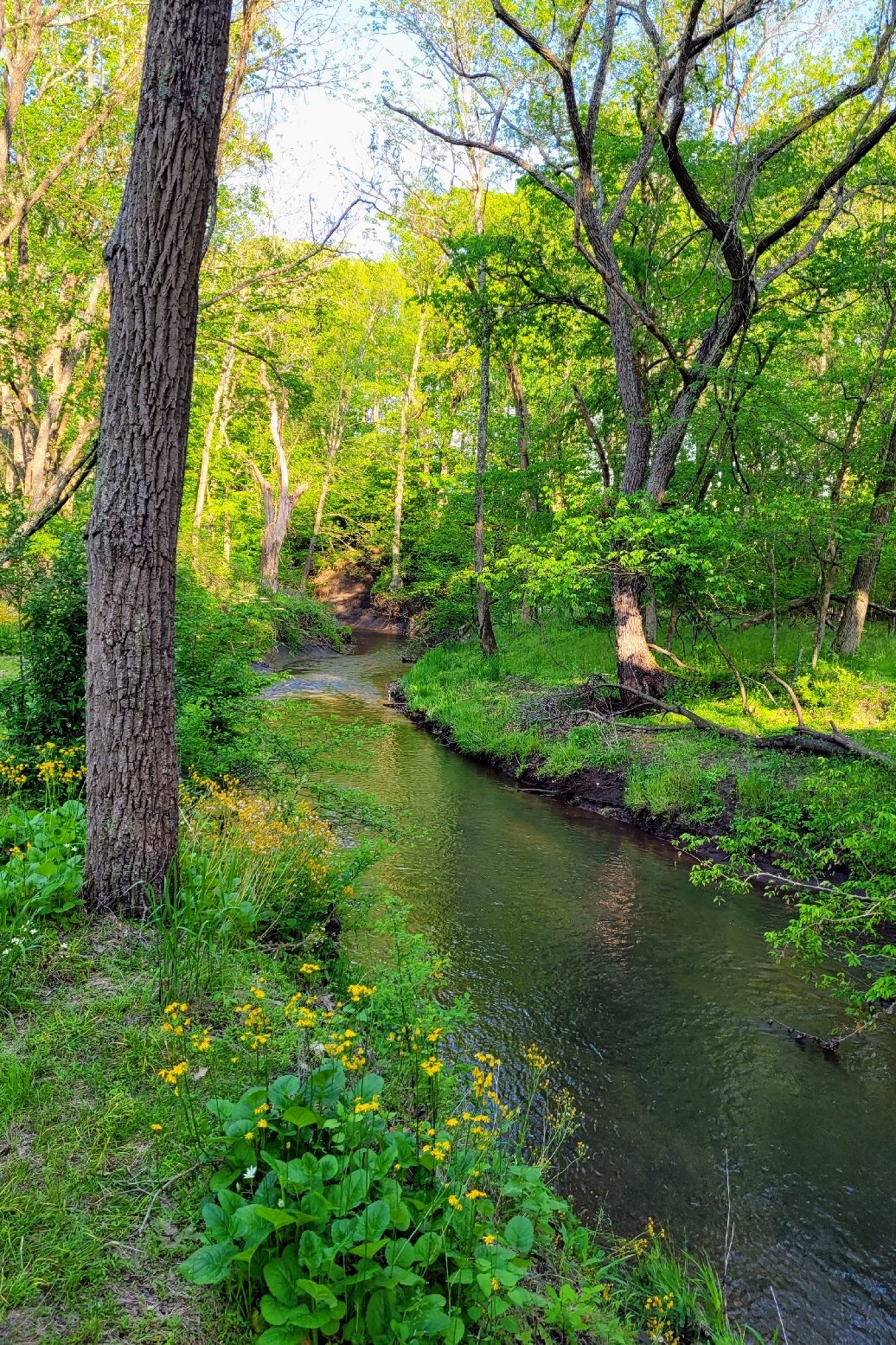 Big Brook Preserve