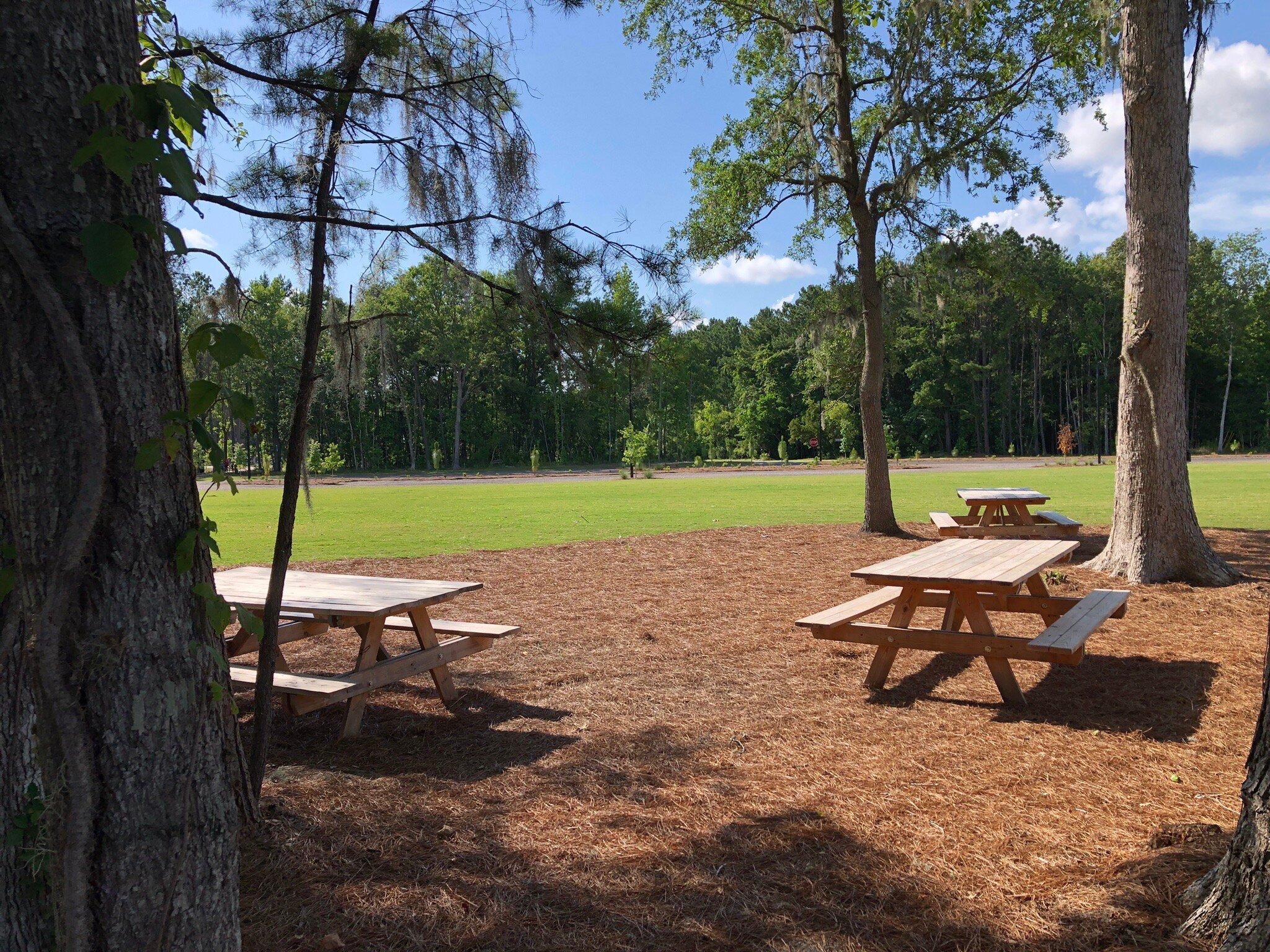 Ashley River Park