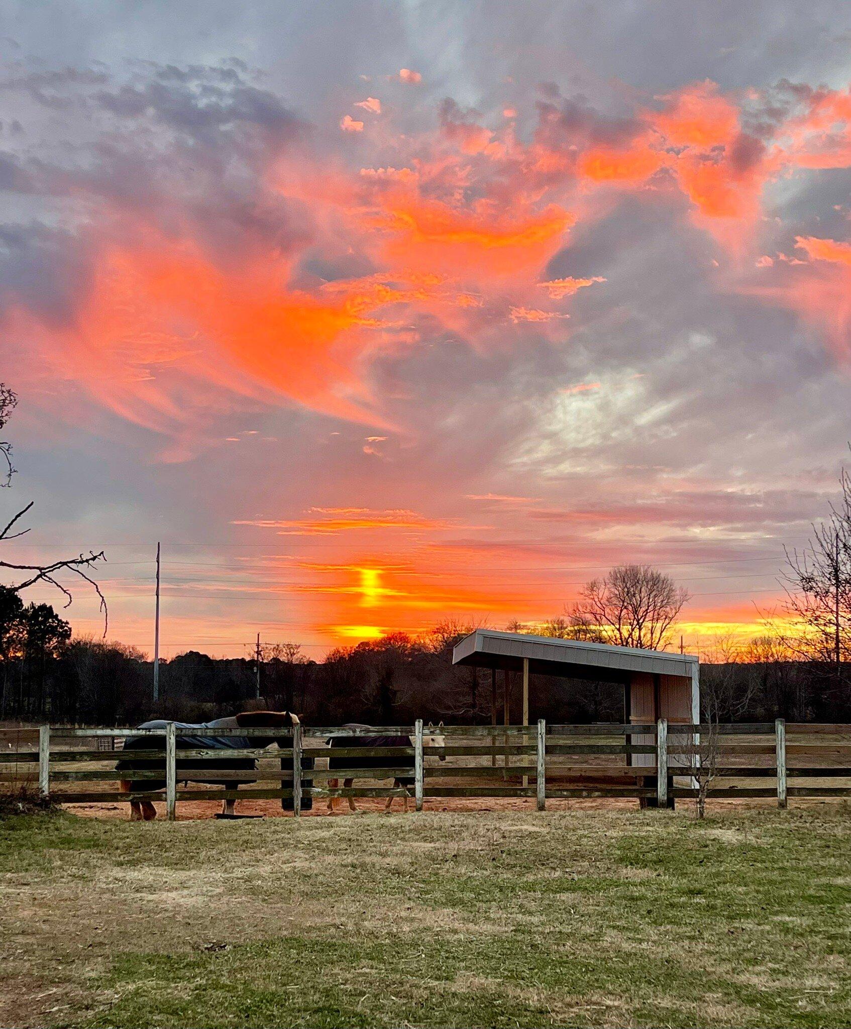 Liberty Stables