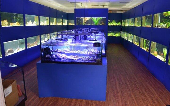 Upscale Aquatics