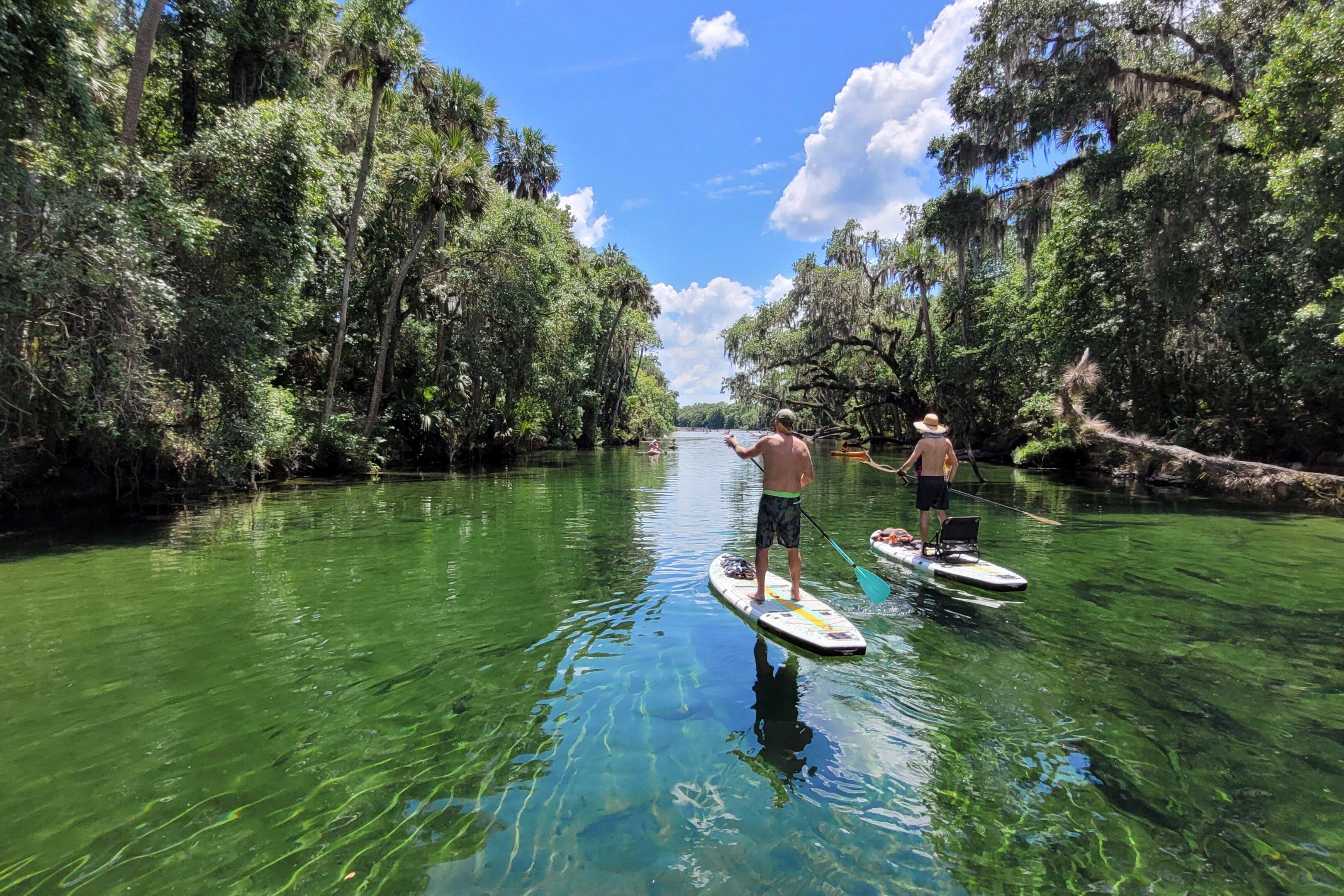 A Paddle in Paradise (Paddle Board / Kayak Tours)