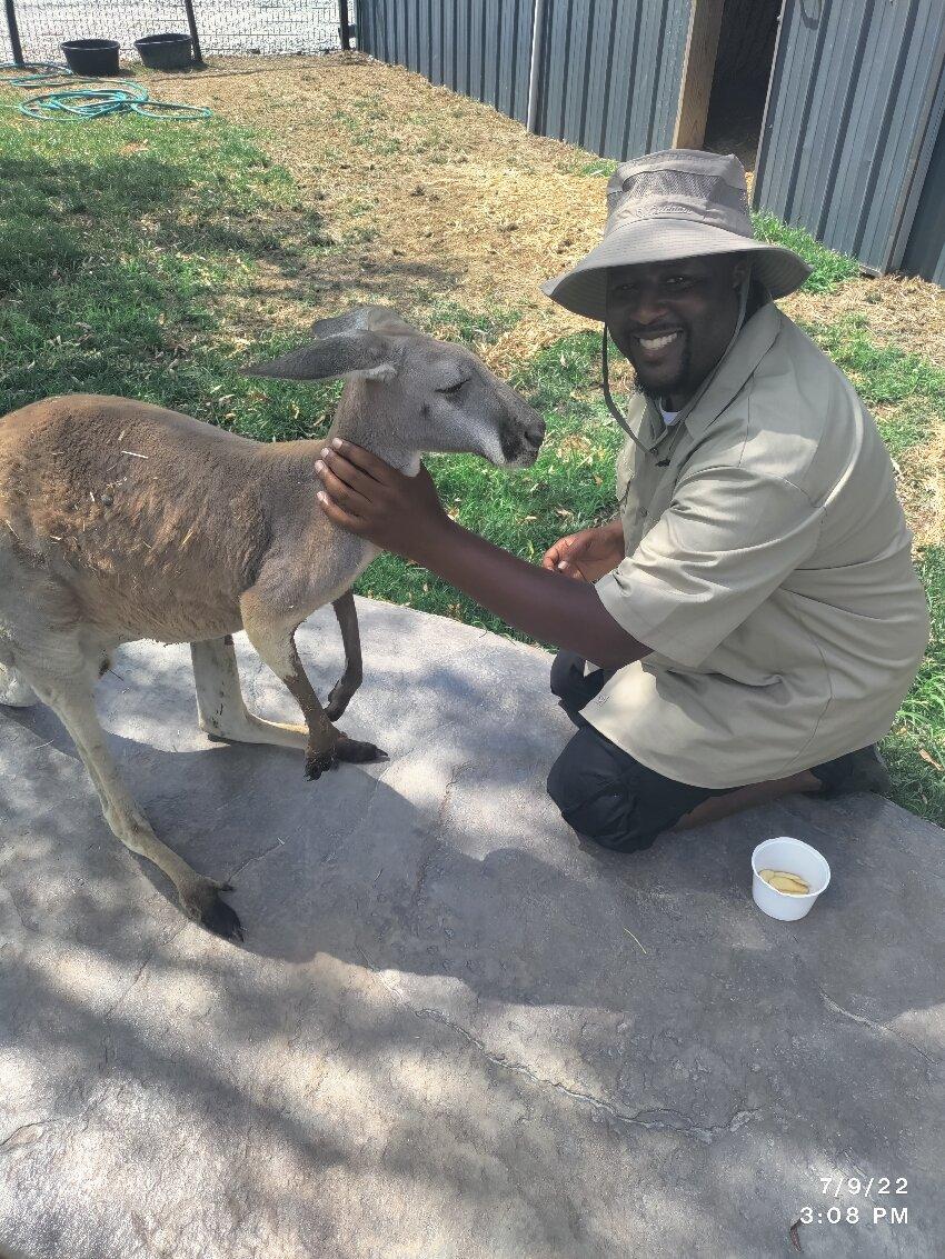 Southland Safari Guided Tours