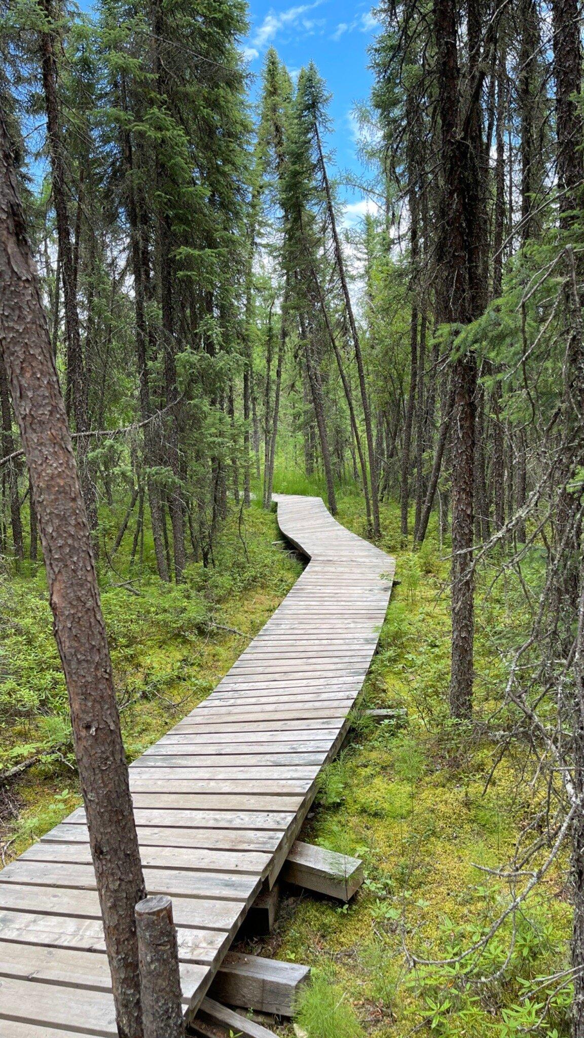 Boundary Bog