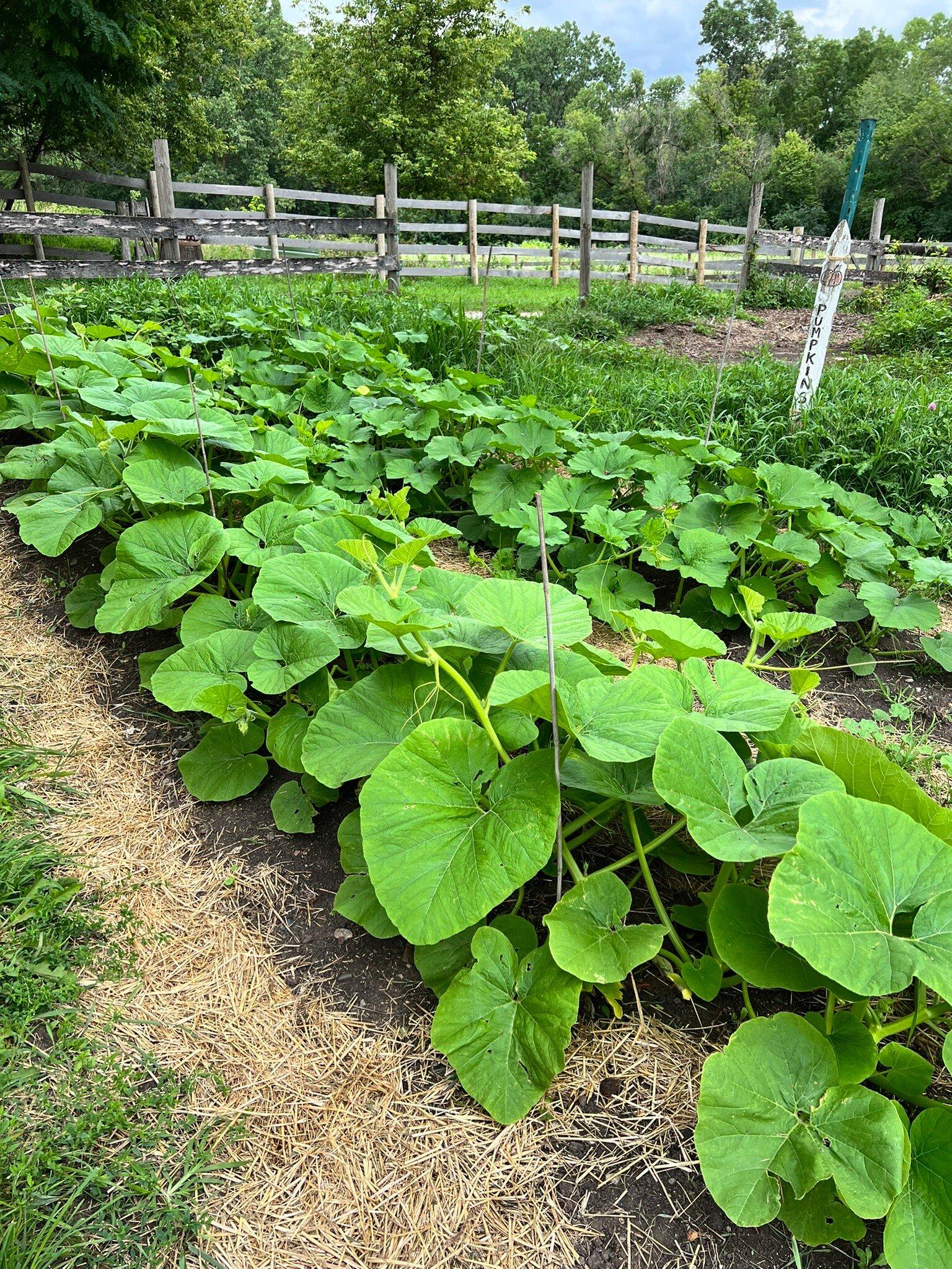 Volkening Heritage Farm