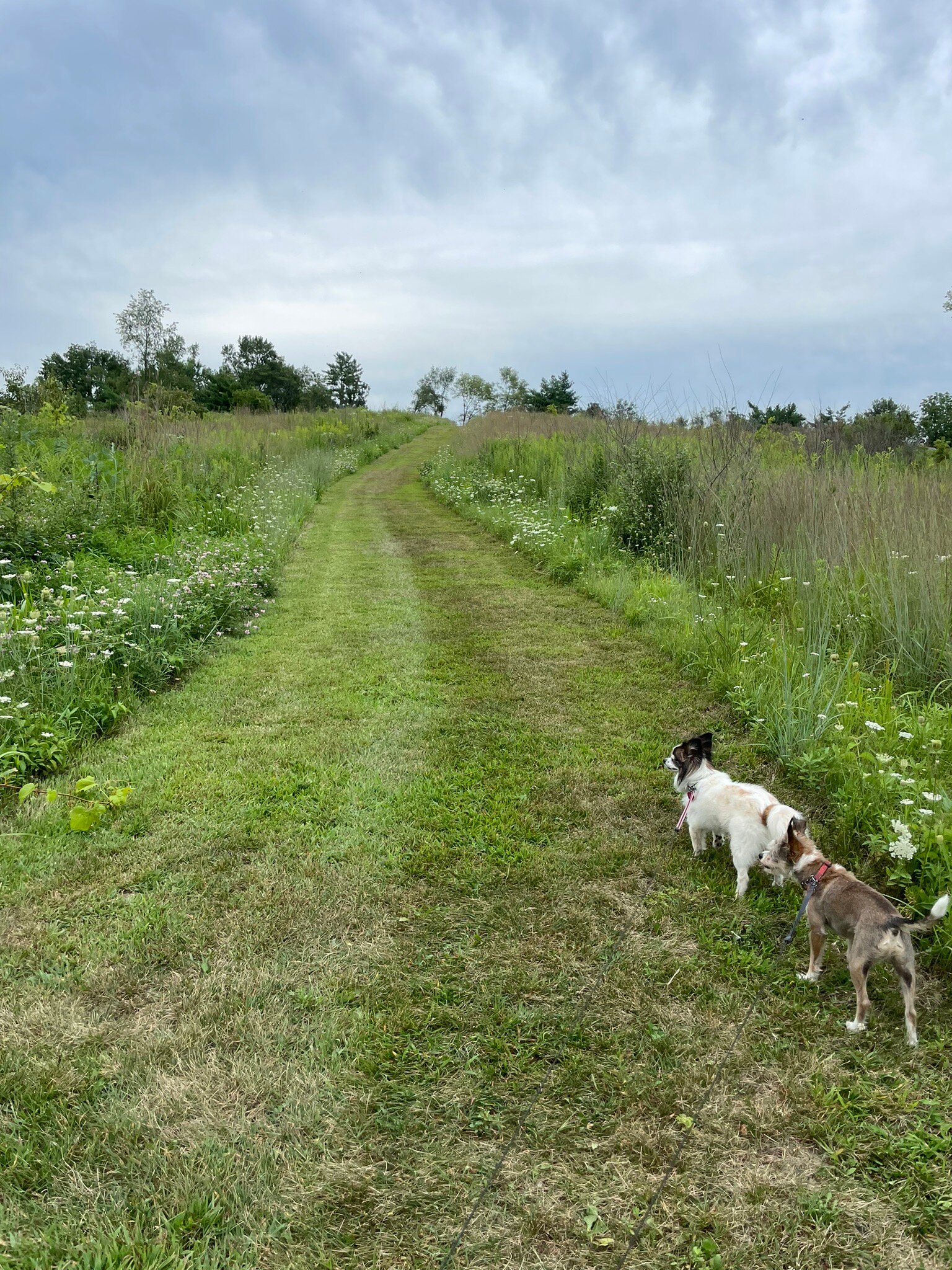 Pleasant Creek State Recreation Area