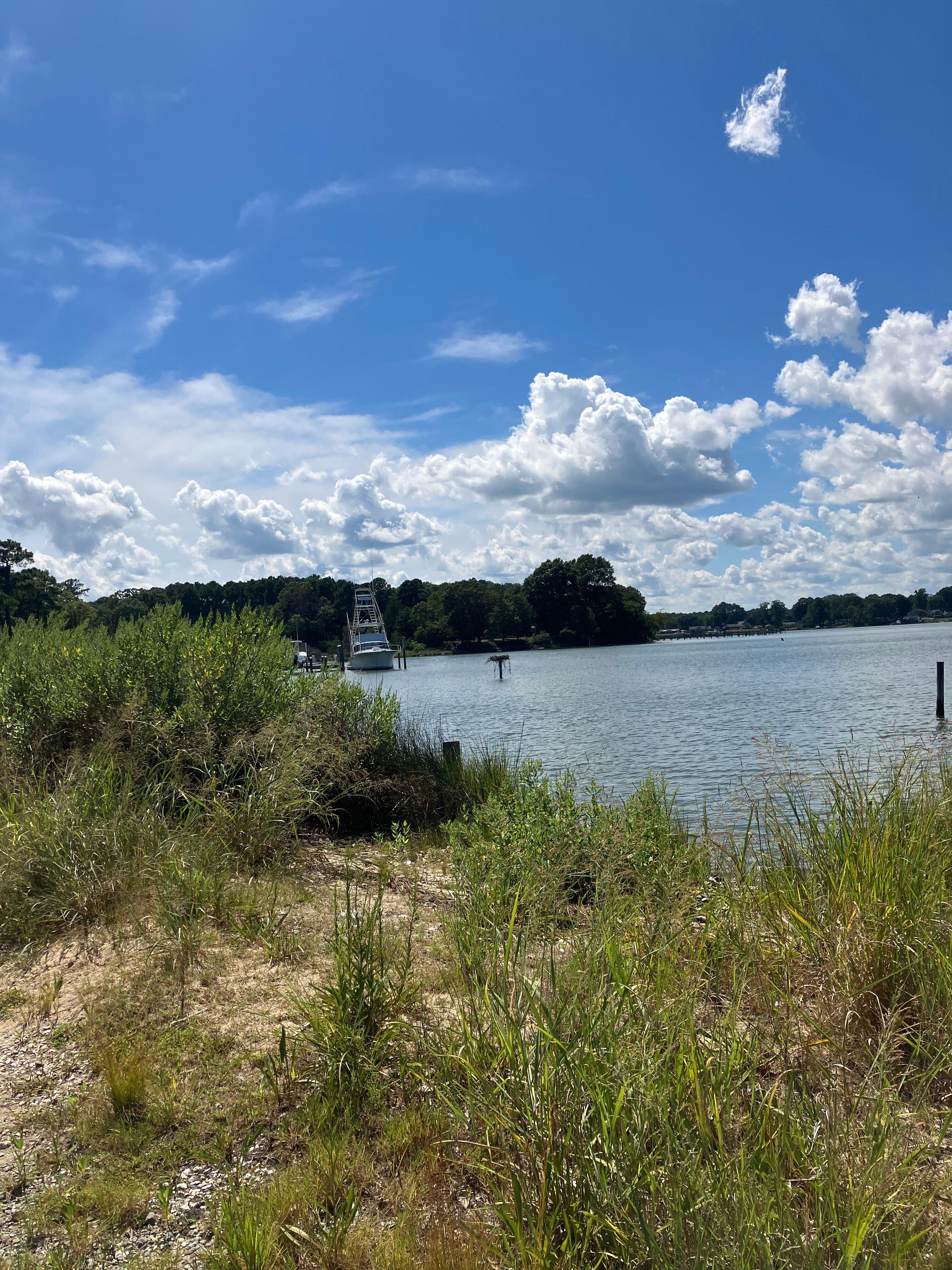 Sunnybank Ferry