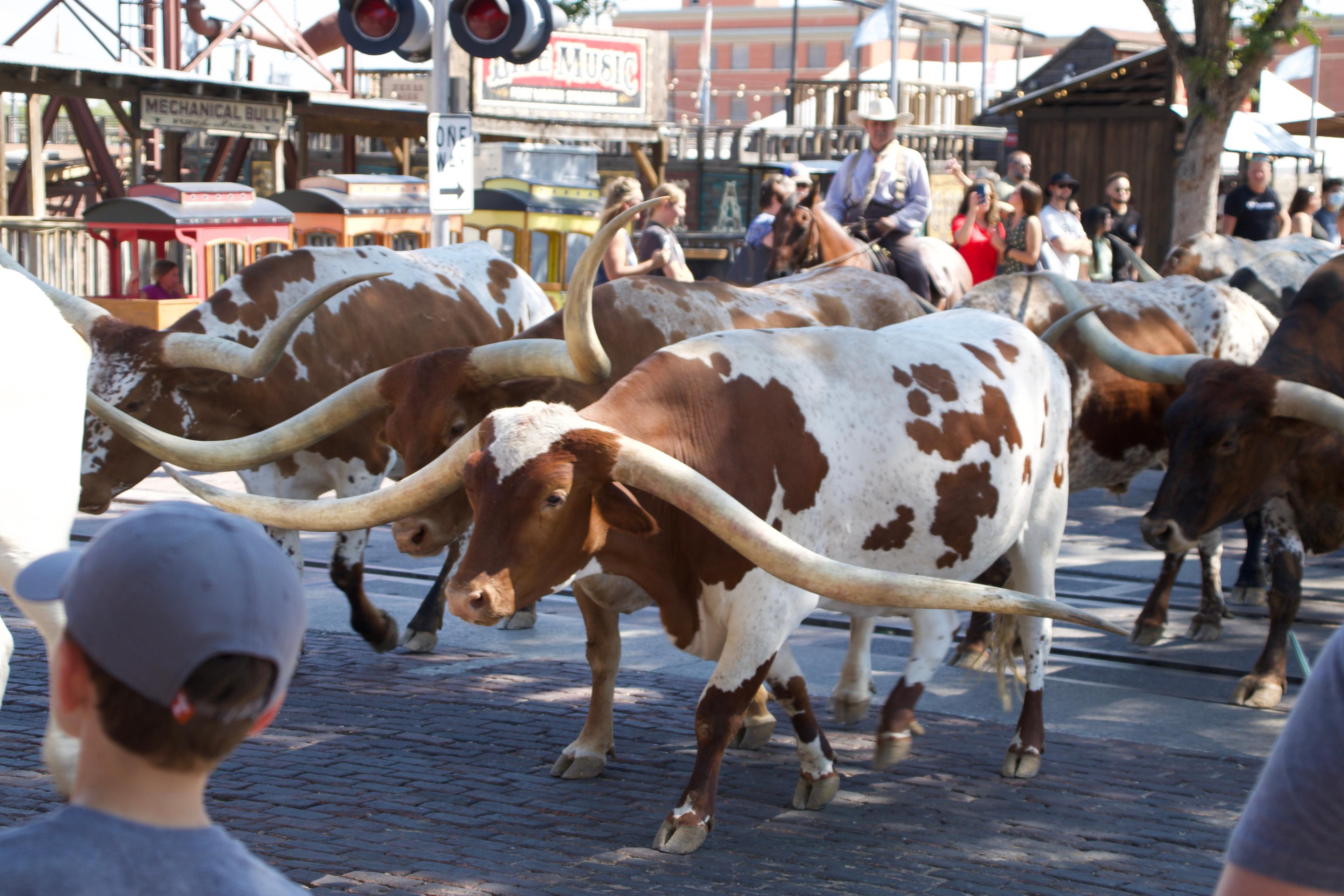 Stockyards Visitors Center