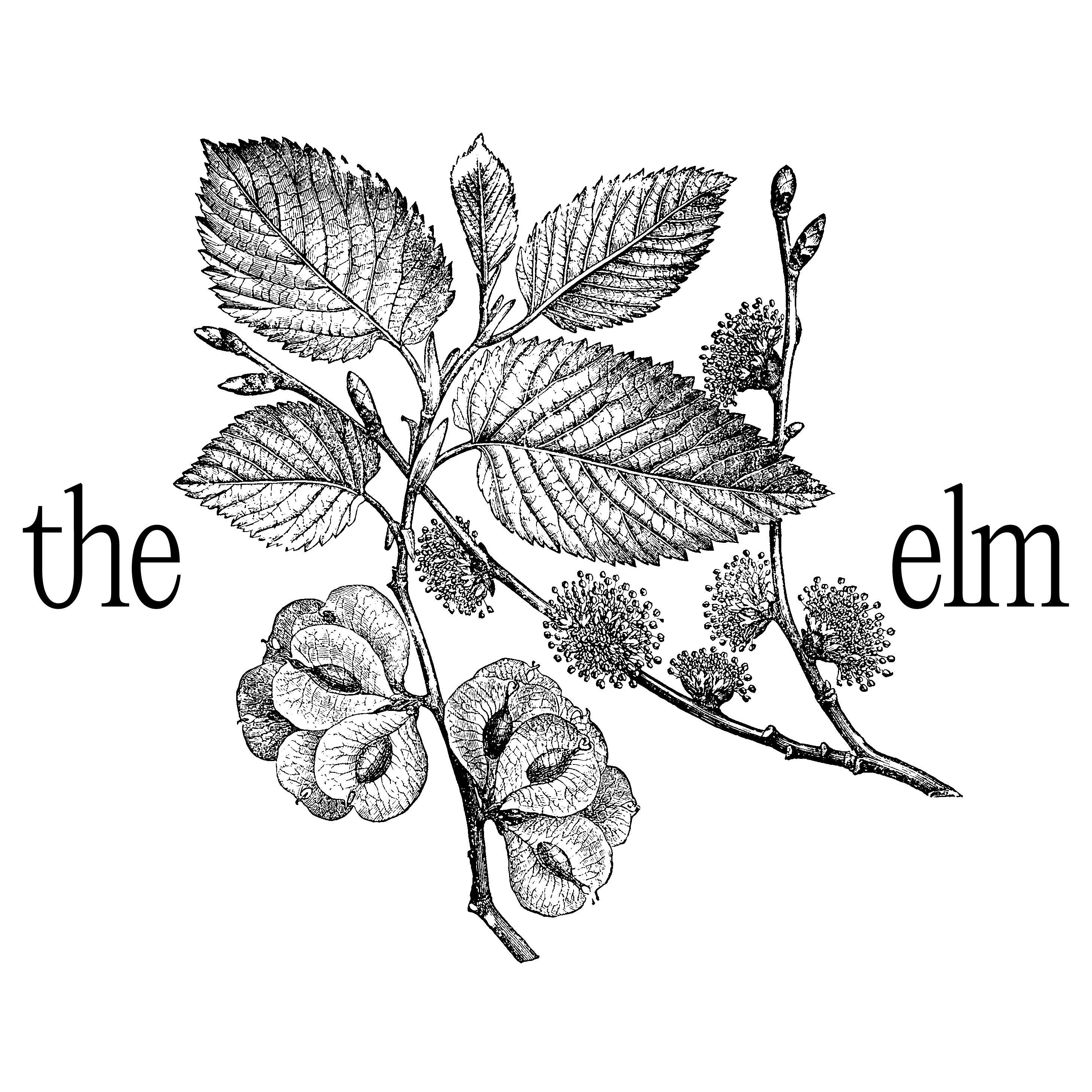 The Elm