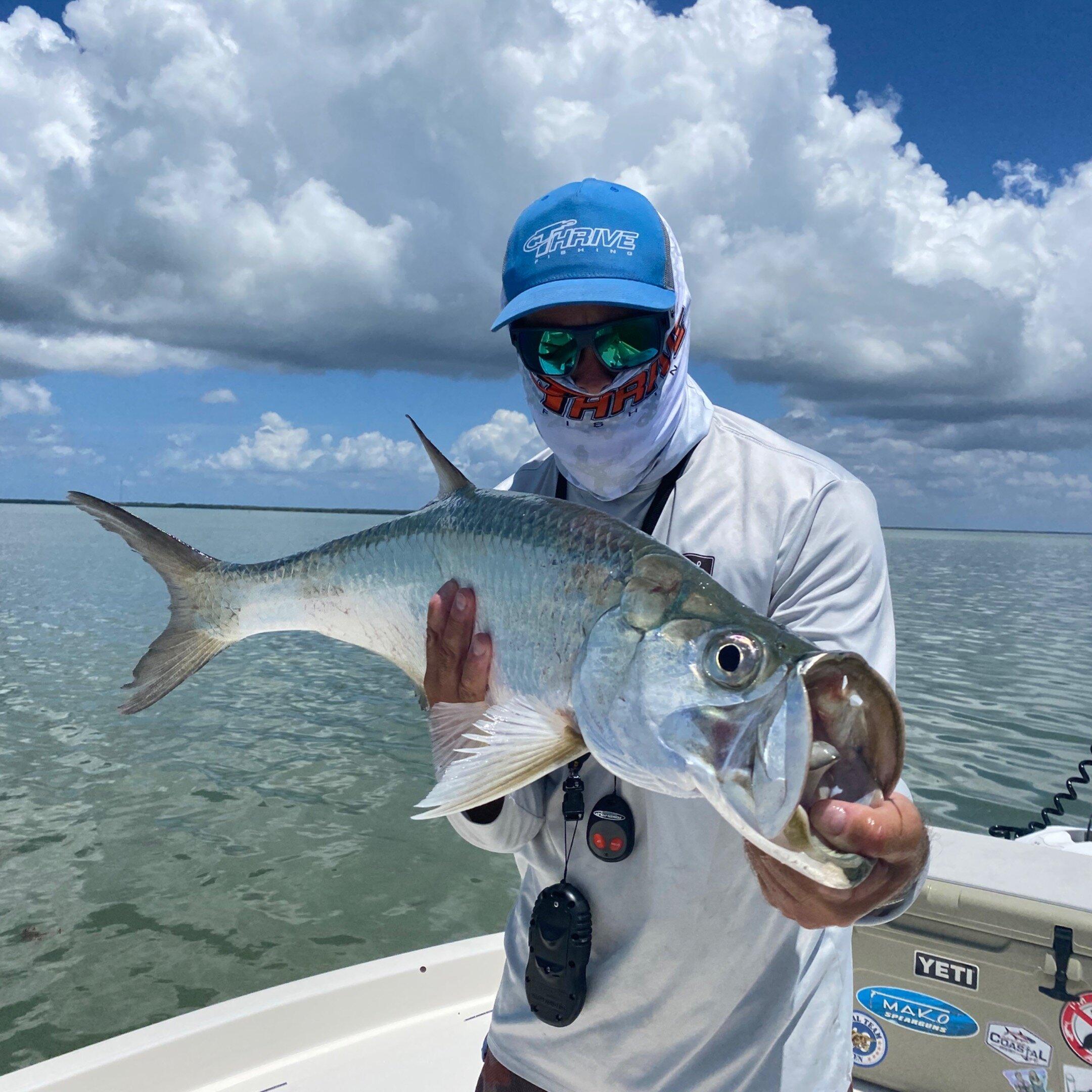 Islamorada Coastal Adventures