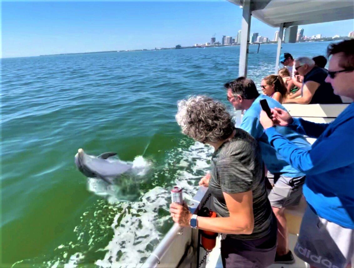 Pier Dolphin Cruises