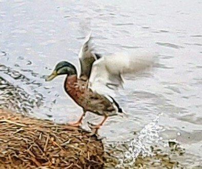 Kearney Lake Trails