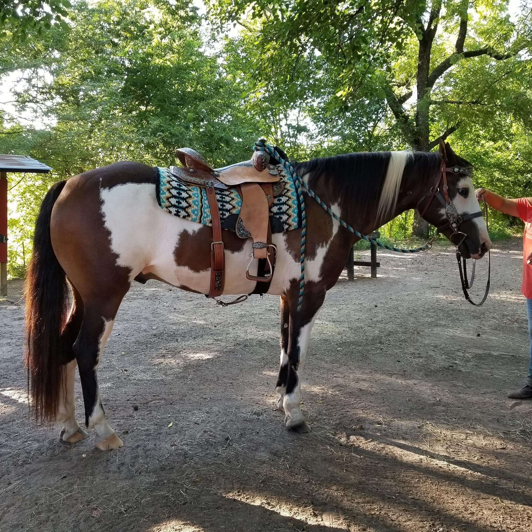 Honey Lee Ranch