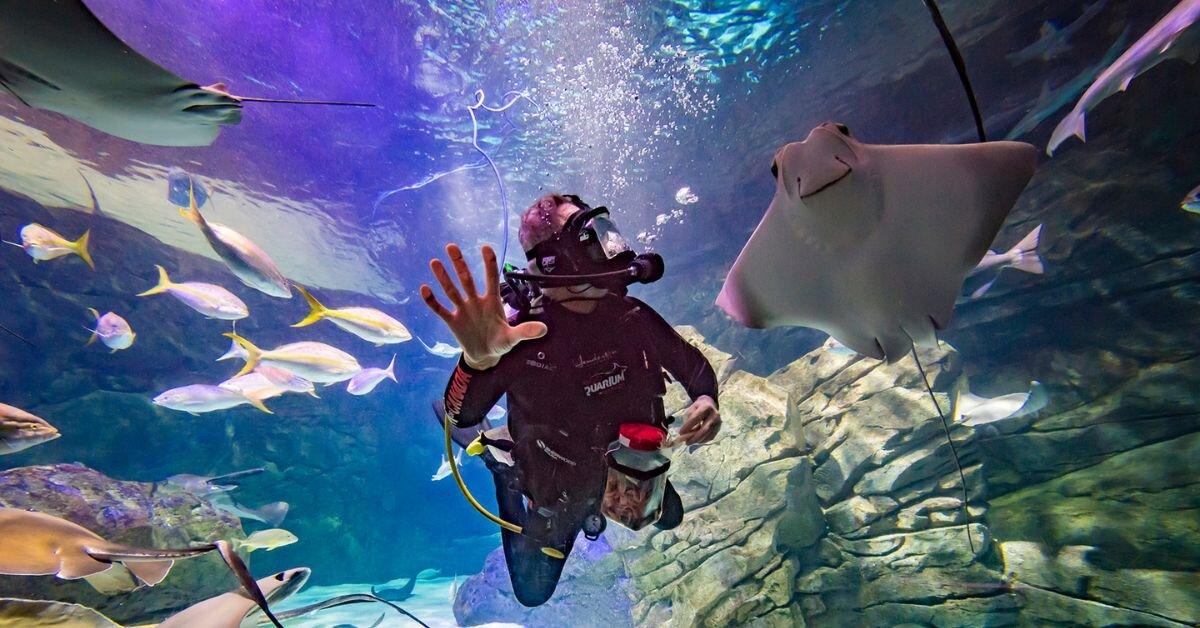 Ripley's Aquarium of Canada