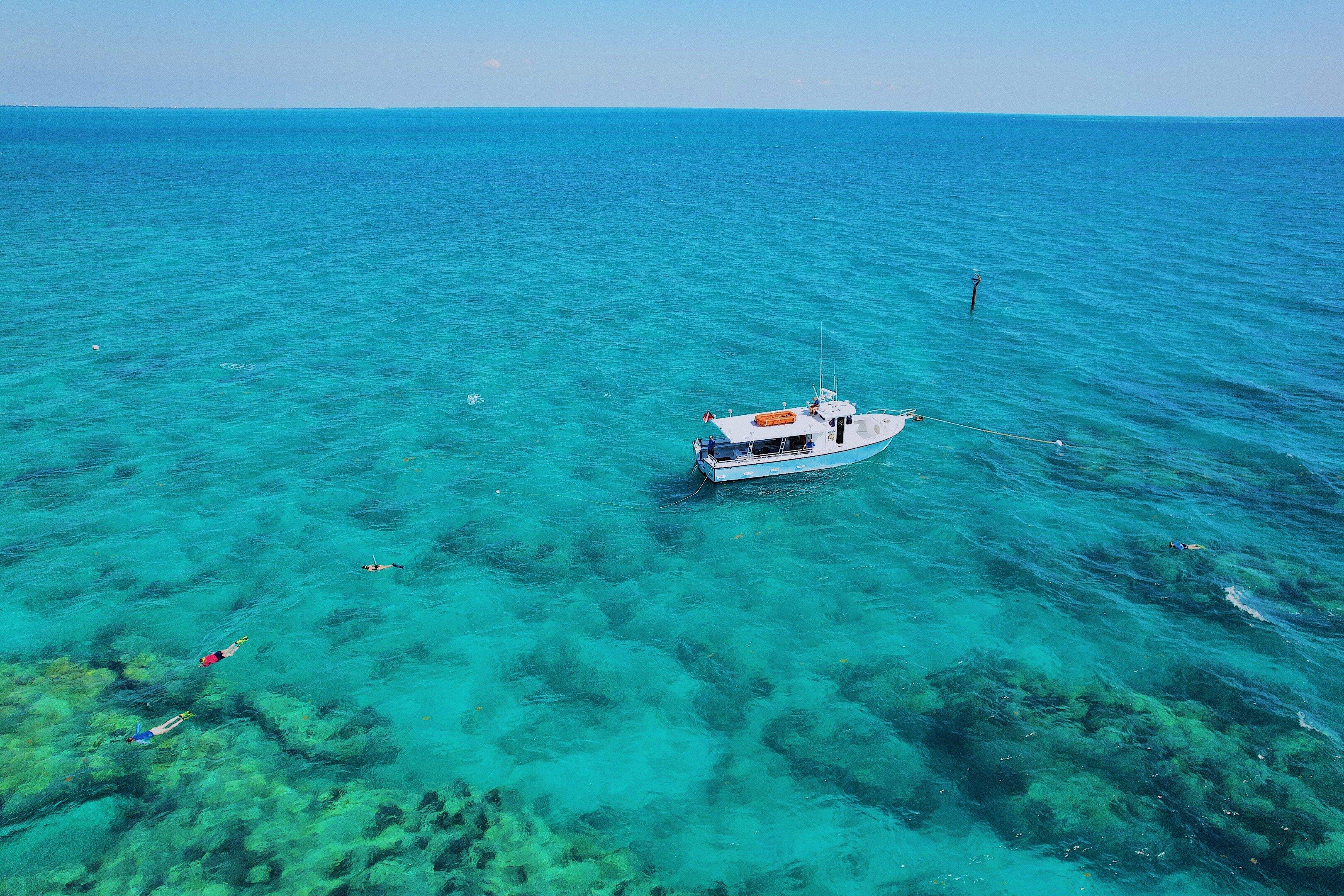 Snorkeling Key West