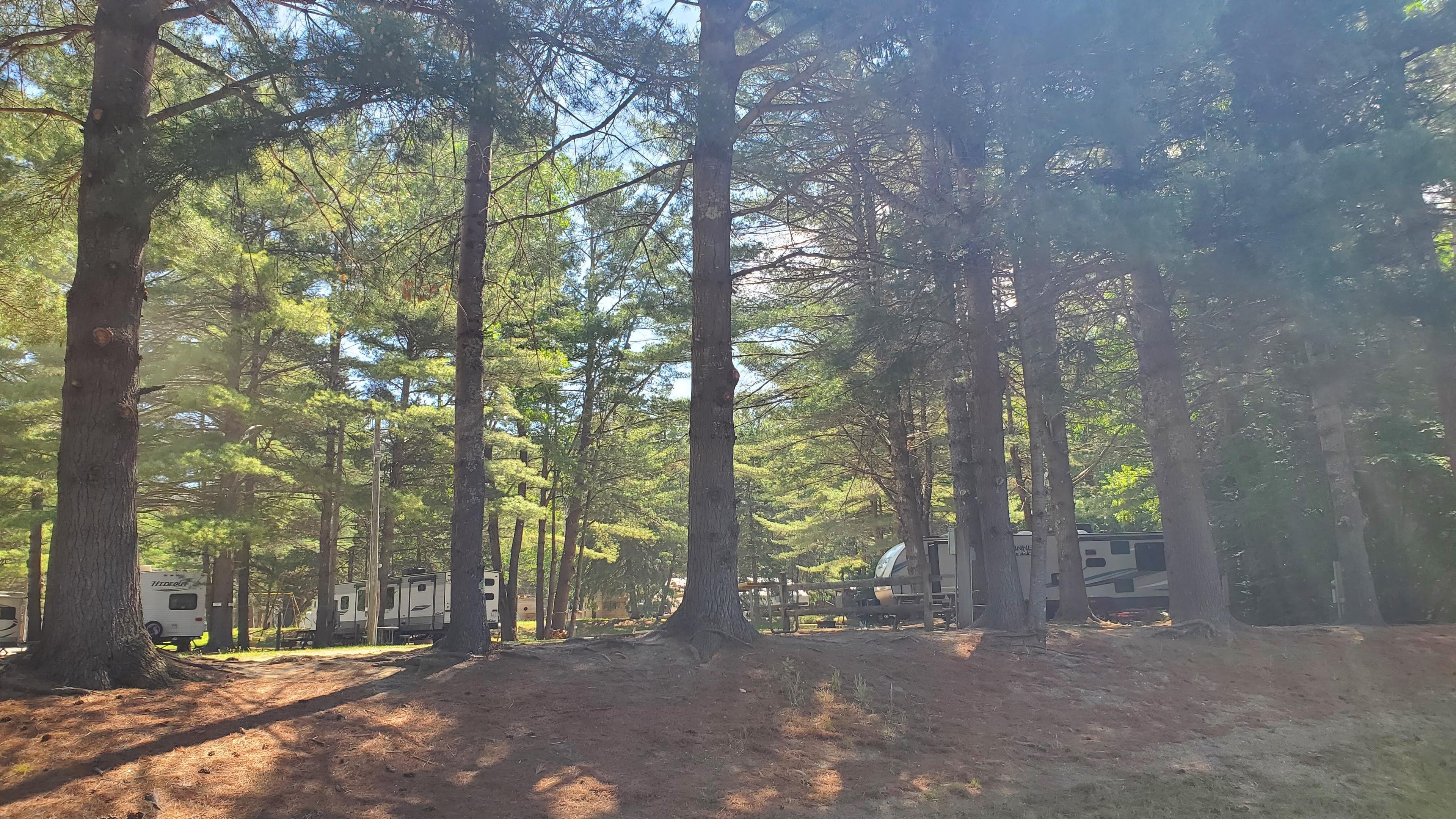 Spacious Skies Campgrounds-Adirondack Peaks