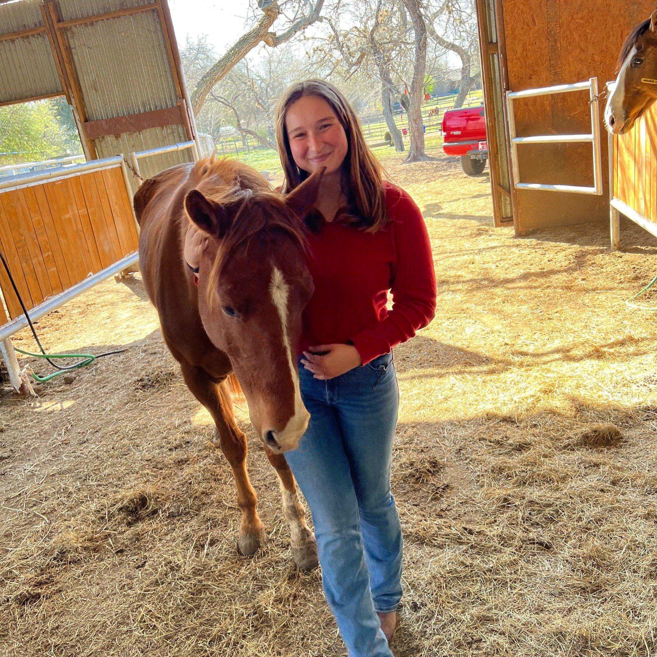 Creekside Barn & Stables