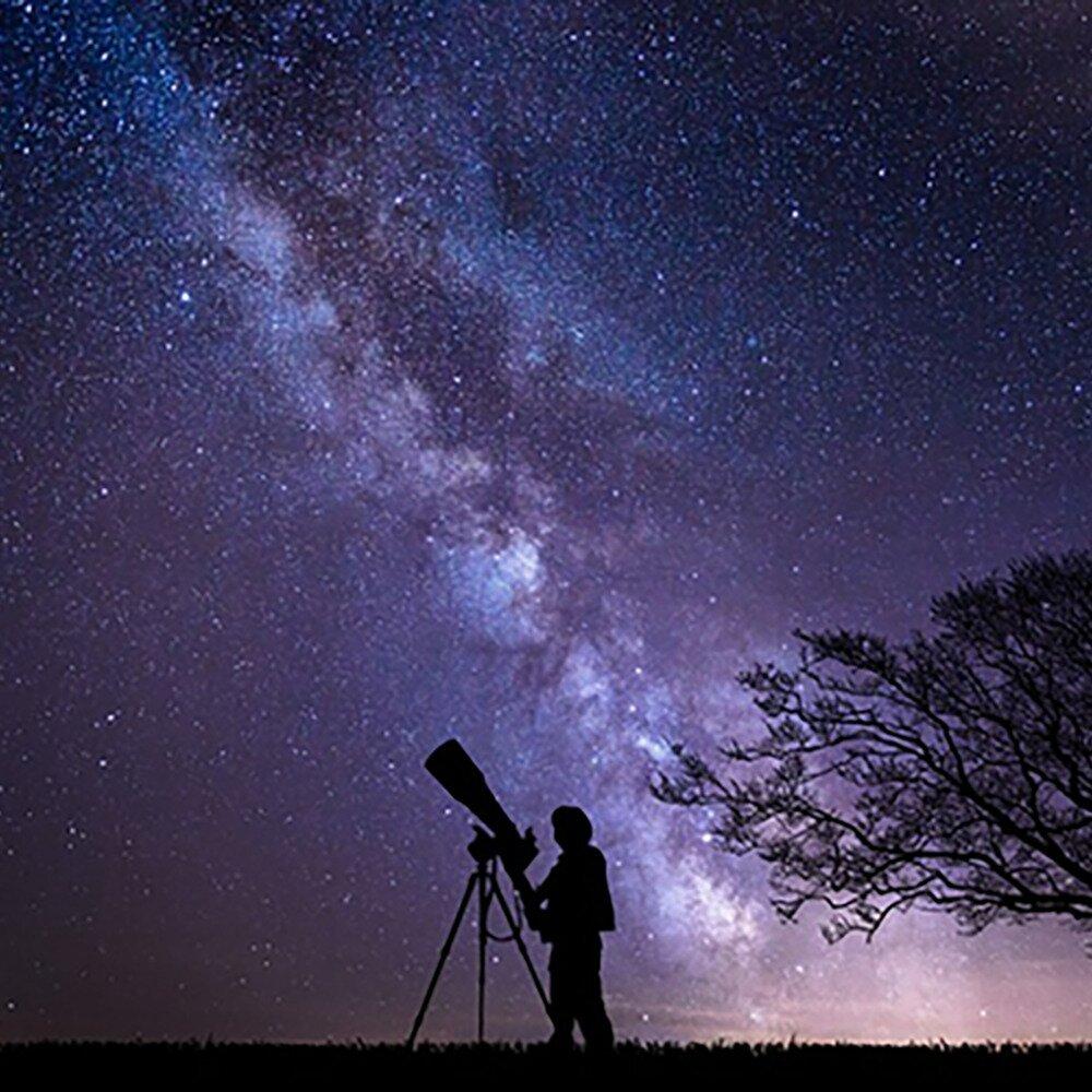 Starry Night Florida