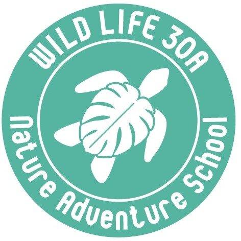 Wild Life 30A Nature Adventure School