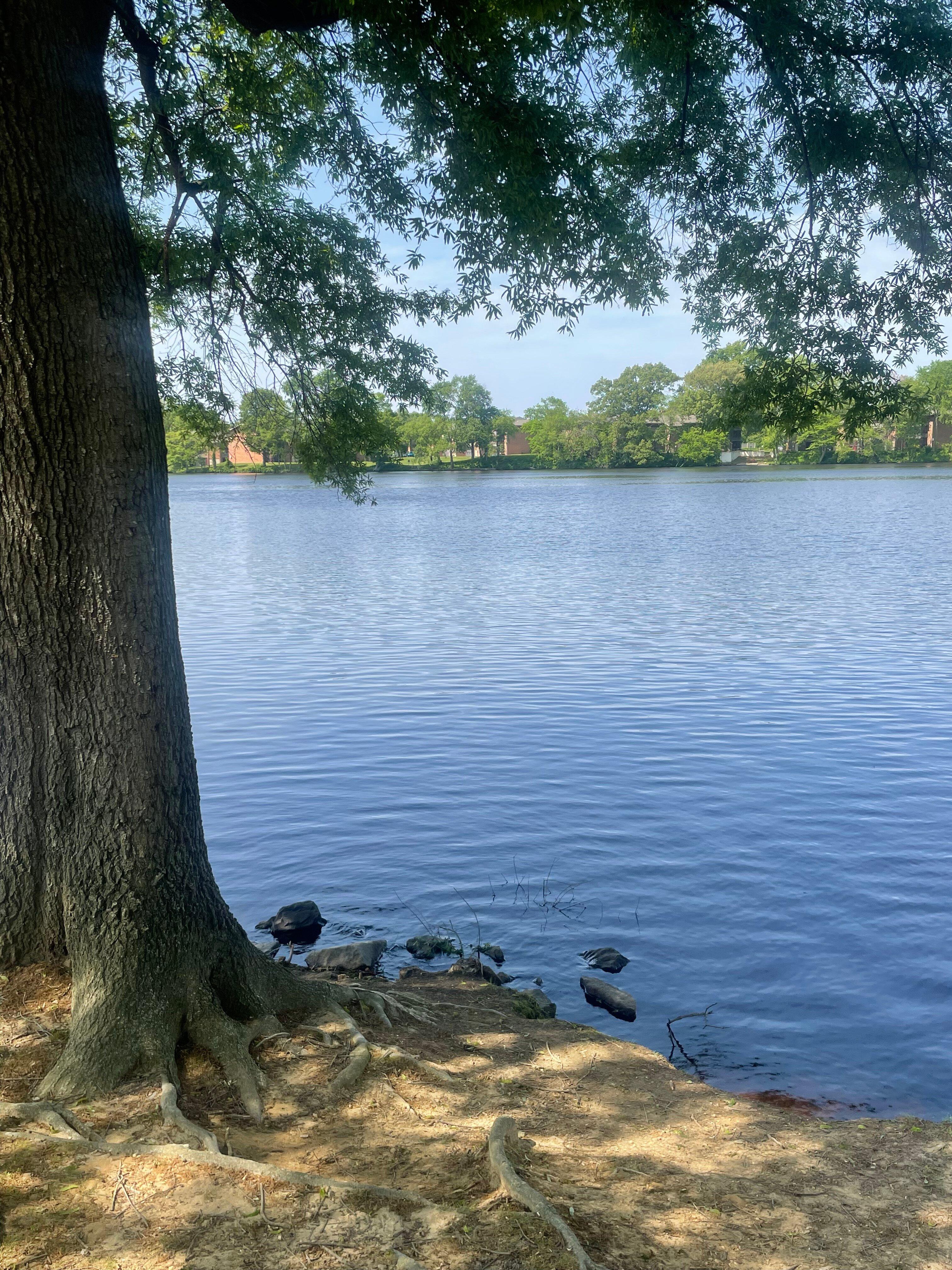 Silver Lake Park