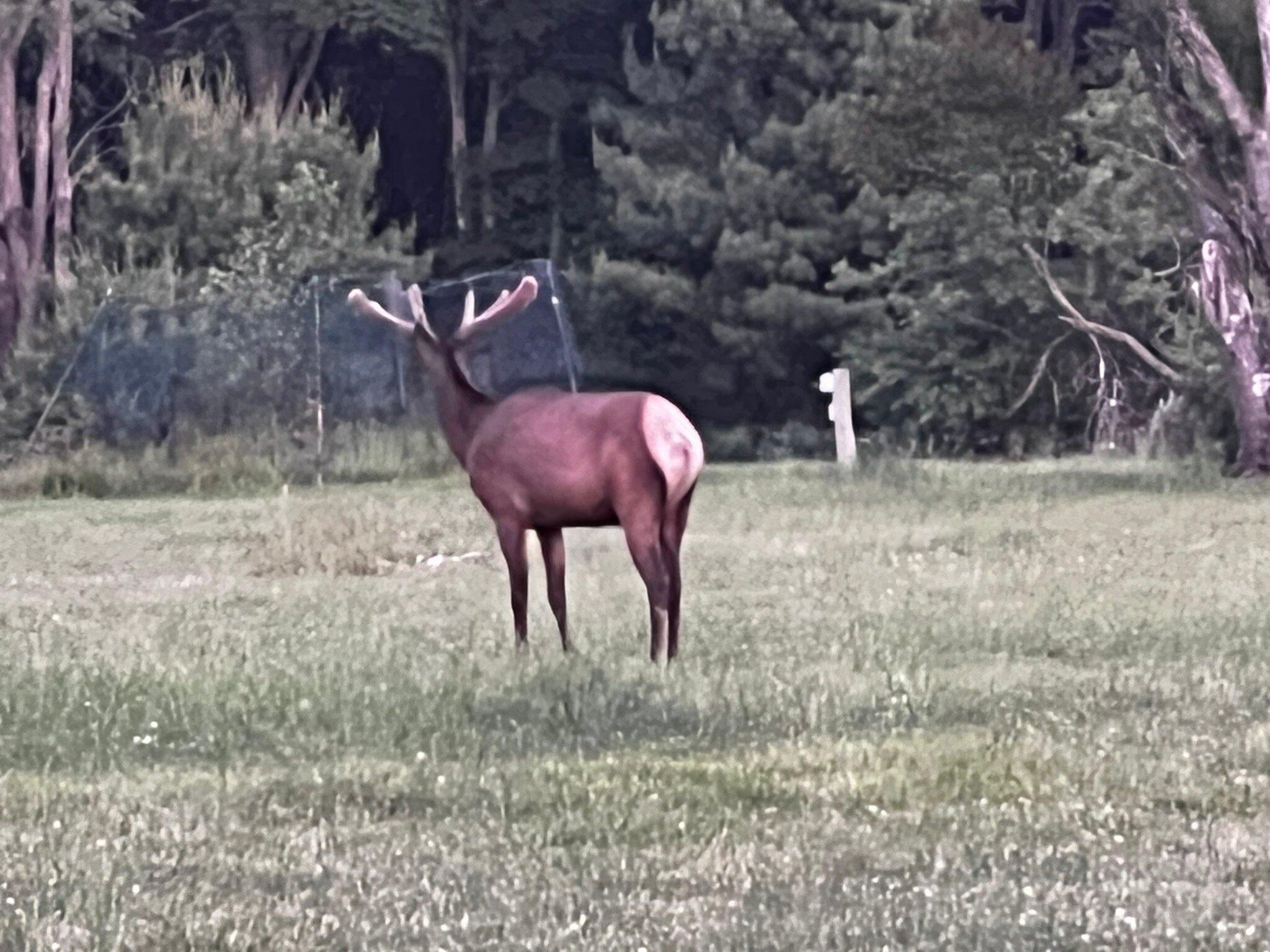 Medix Run Lodges and Cabins