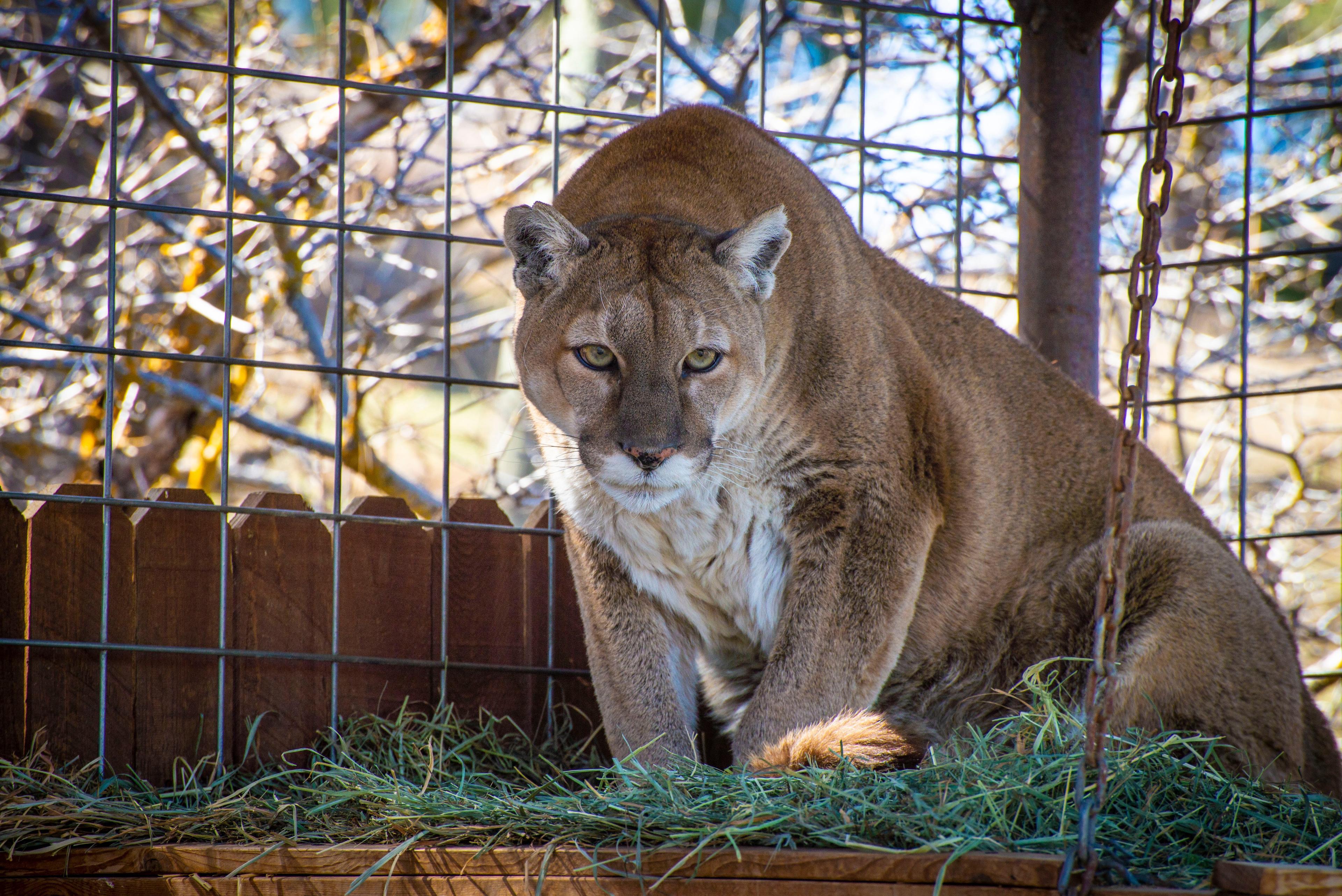 Rocky Mountain Wildlife Park