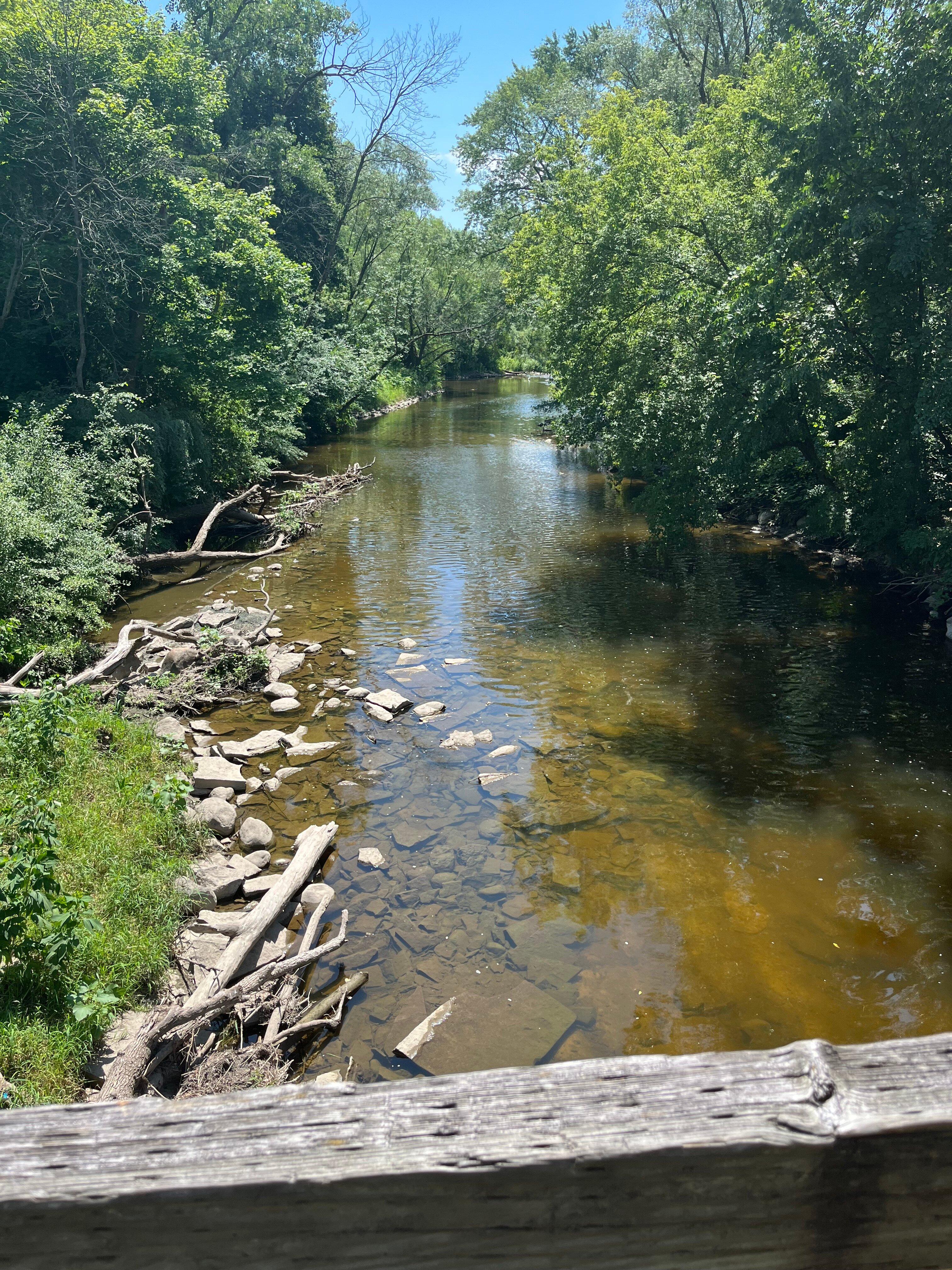 Hoyt Park