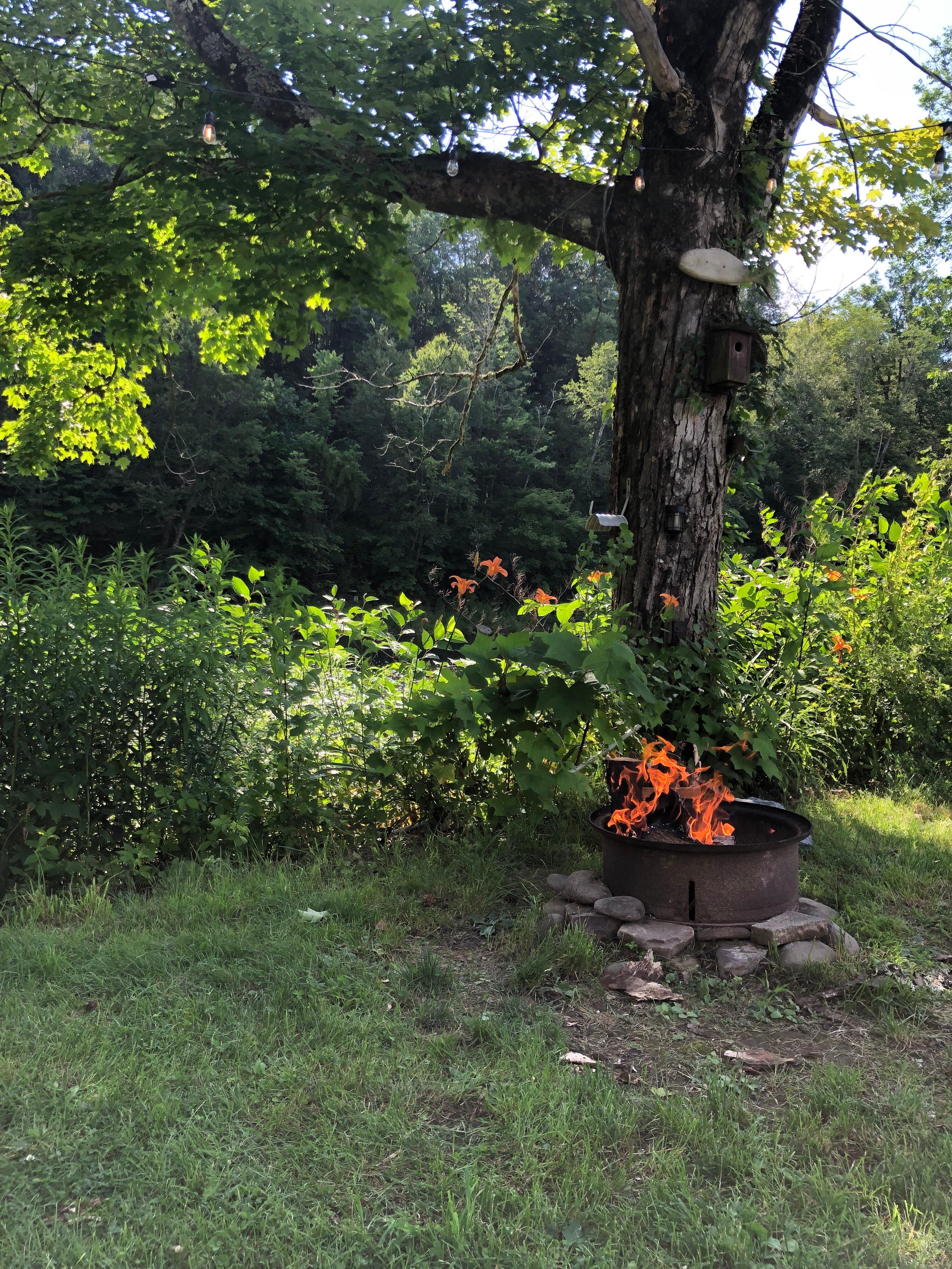 Butternut Grove Campsite