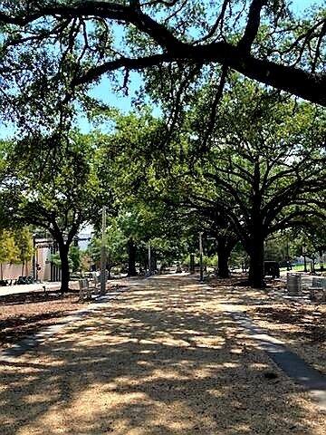 Downtown Greenway