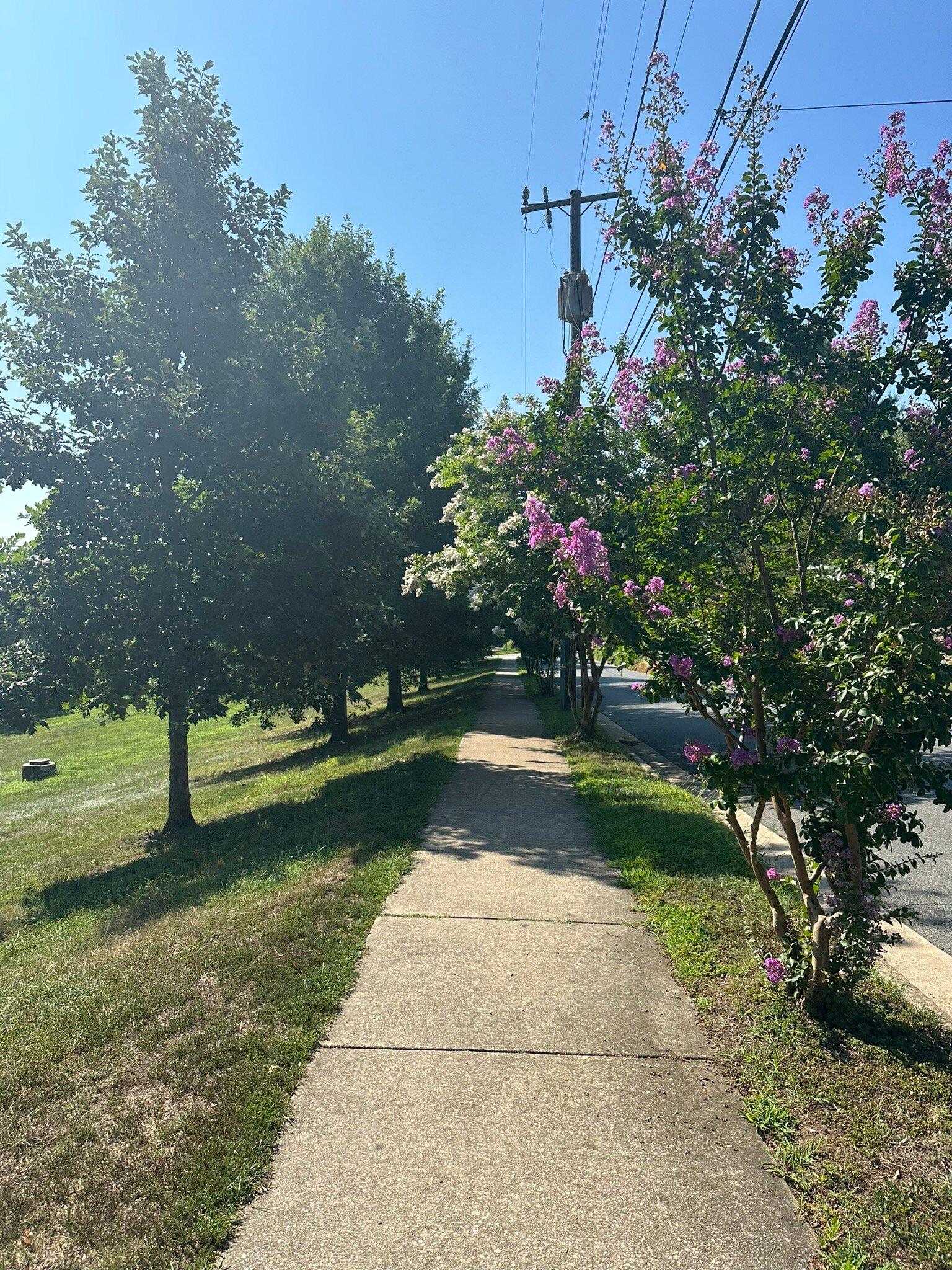 City Dock Park