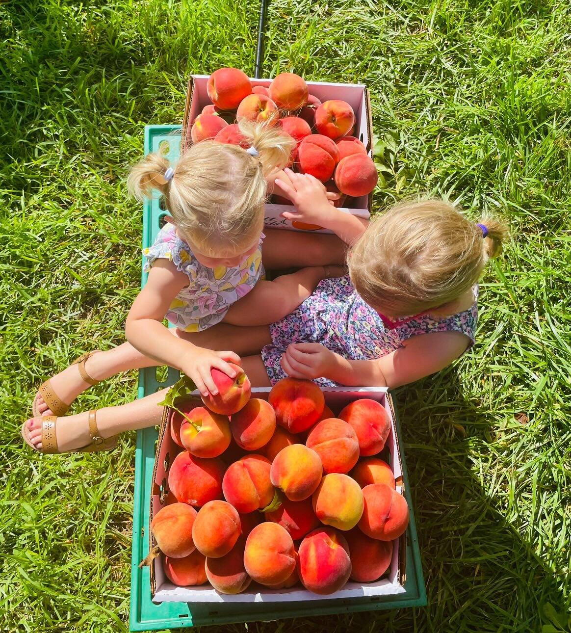 Bennett Orchards