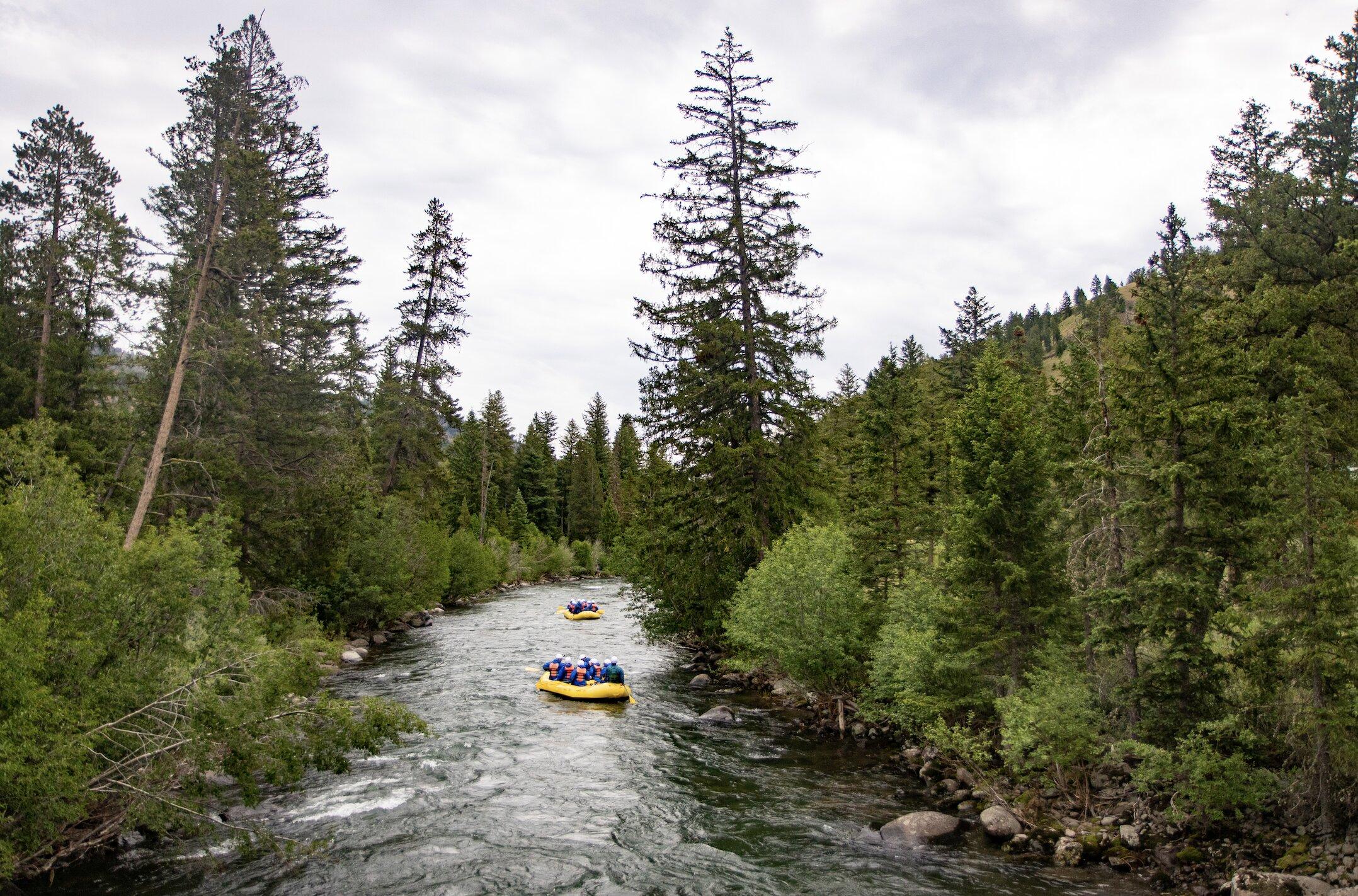 Wyoming River Trips