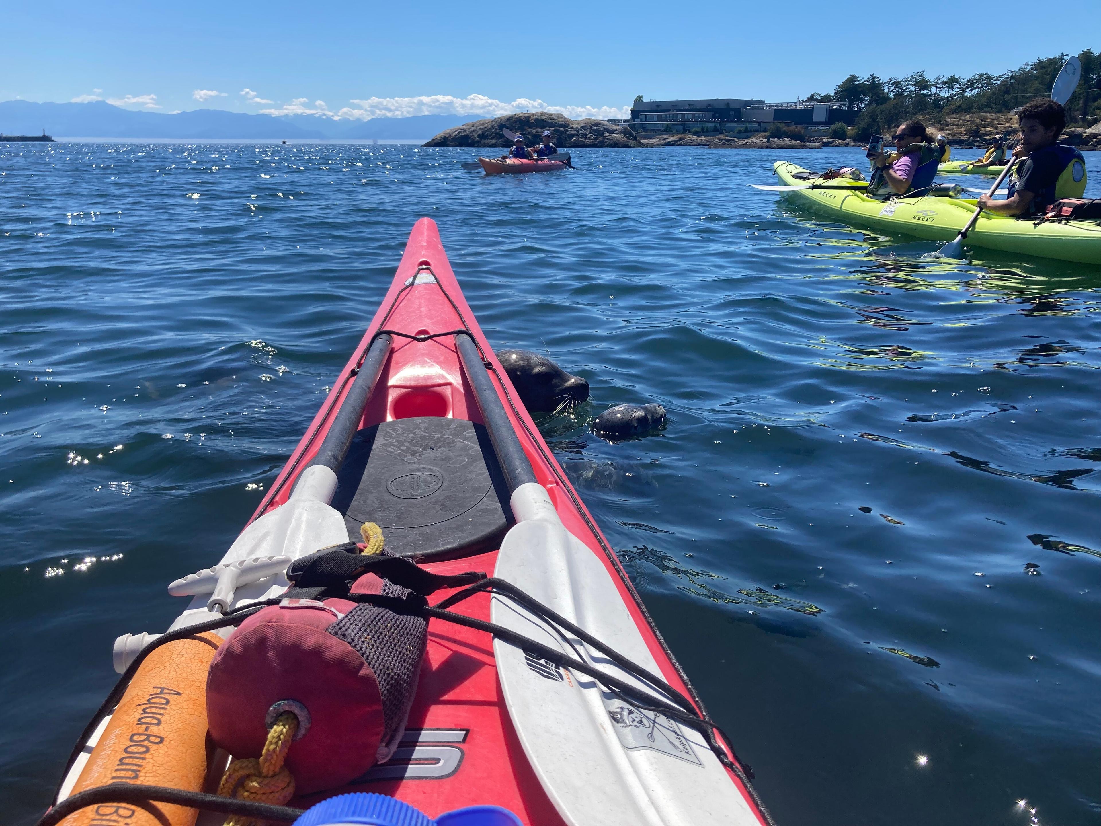 Kelp Reef Adventures