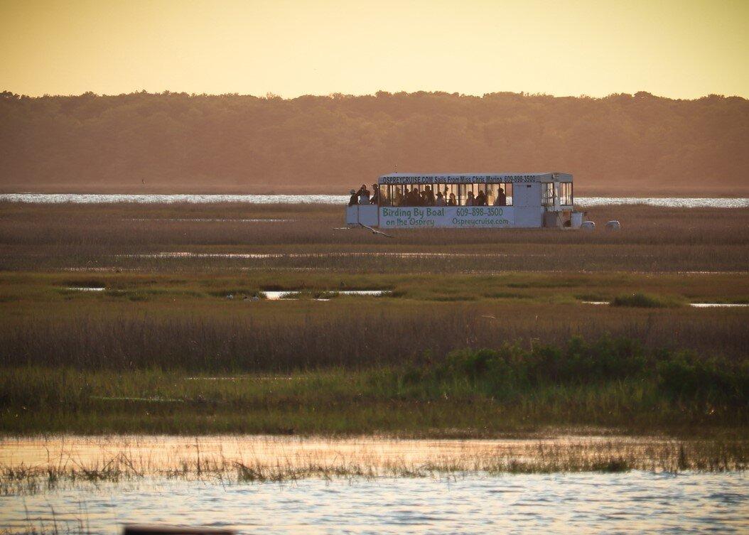 Birding By Boat on the Osprey