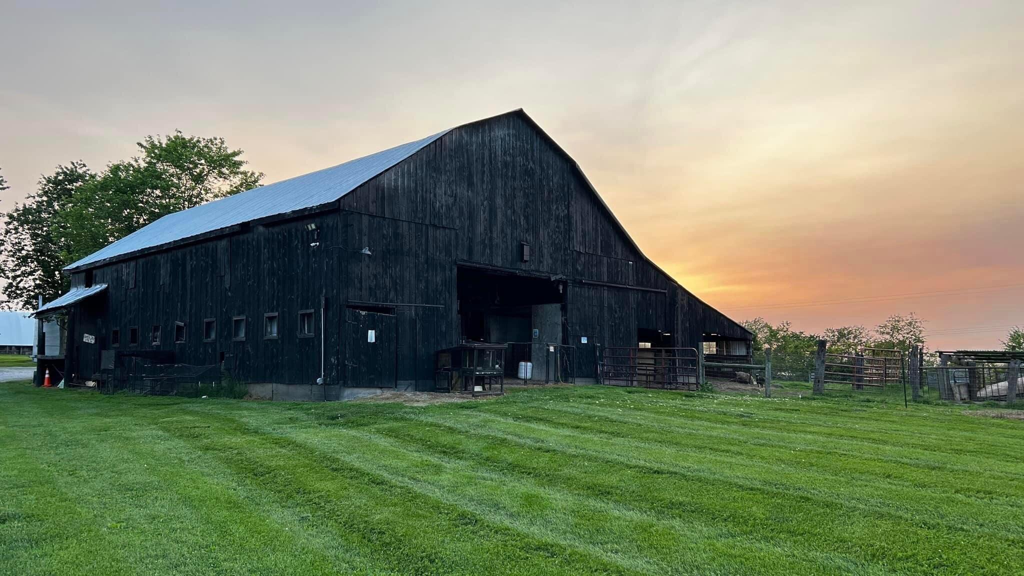 Benton Family Farm