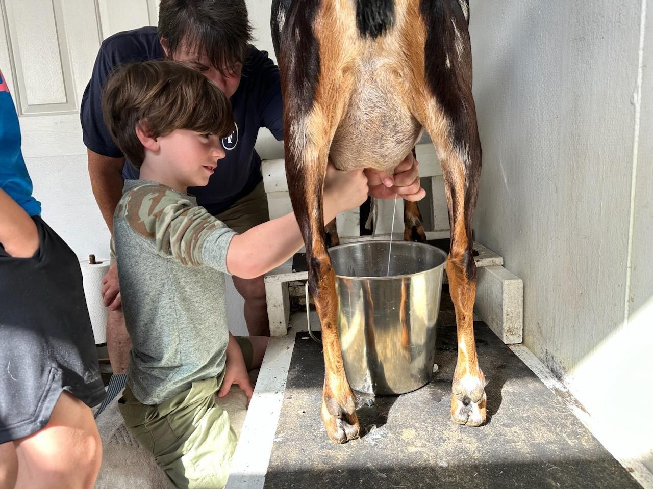 Jeremiah Farm and Goat Dairy