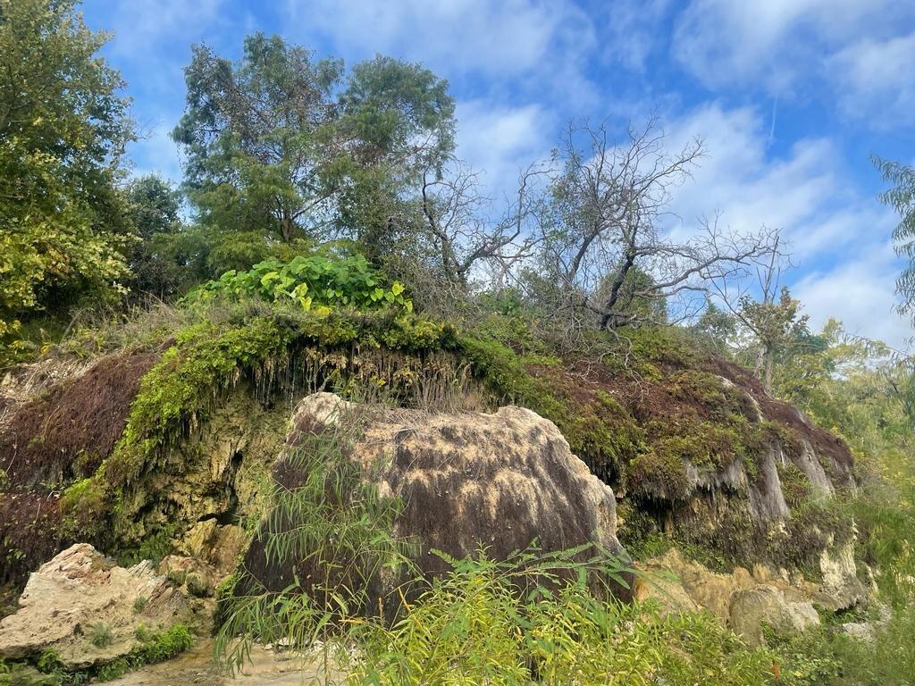 Lake Georgetown Overlook Park