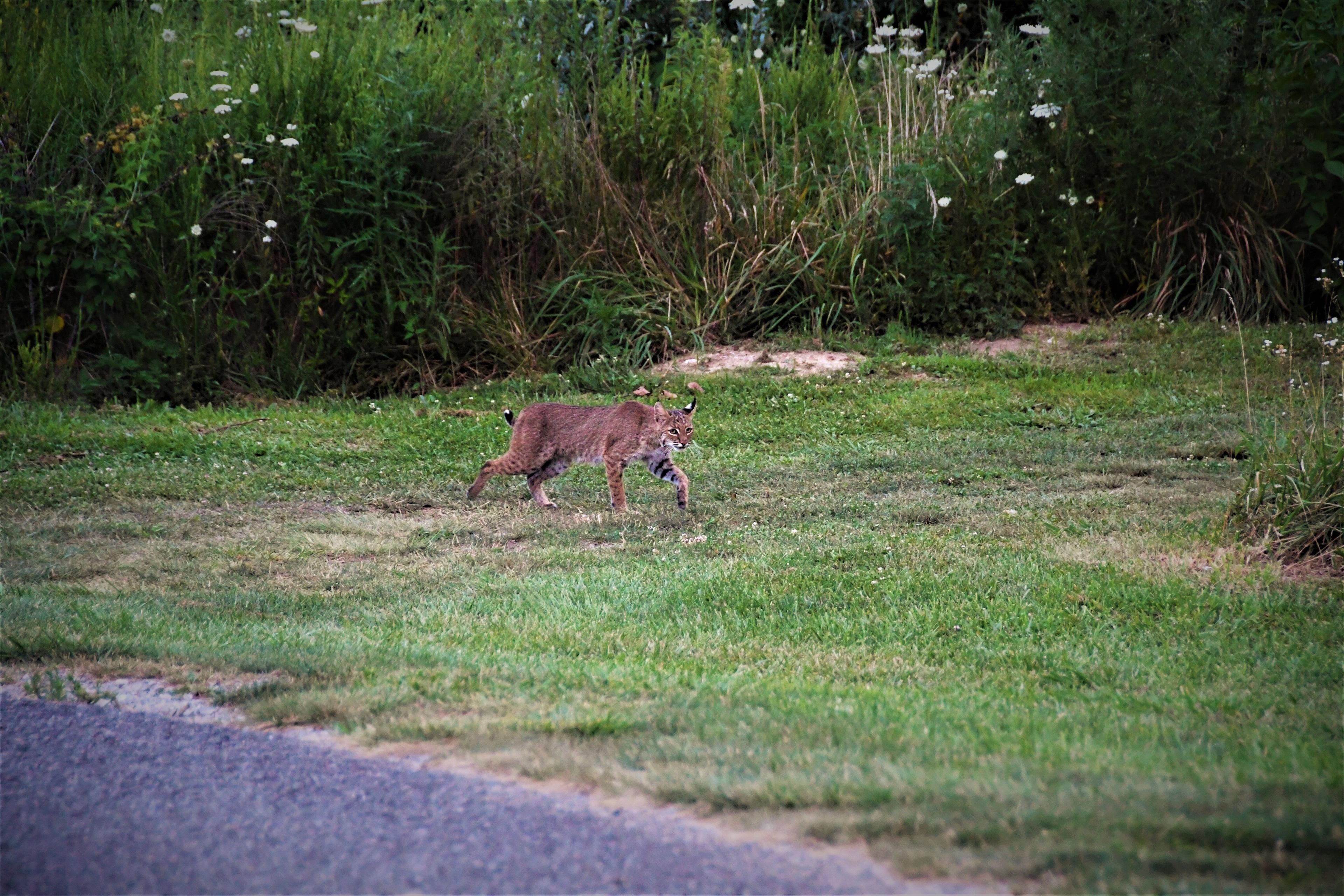 Raven Rock Golf Course