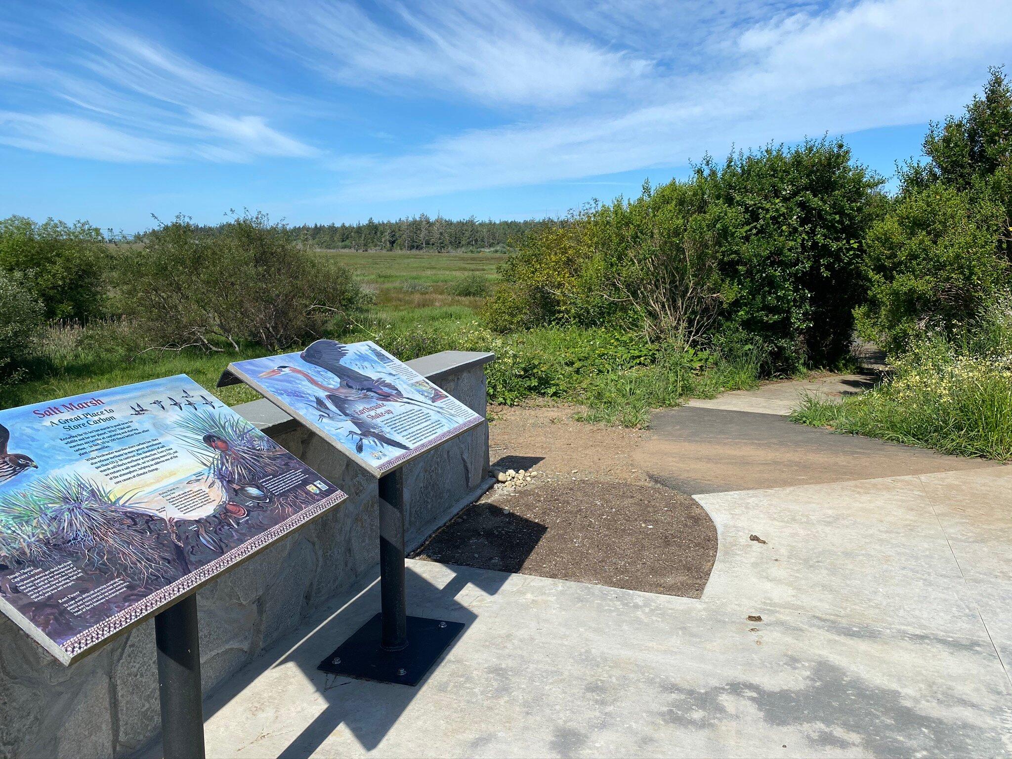 Bandon Marsh National Wildlife Refuge