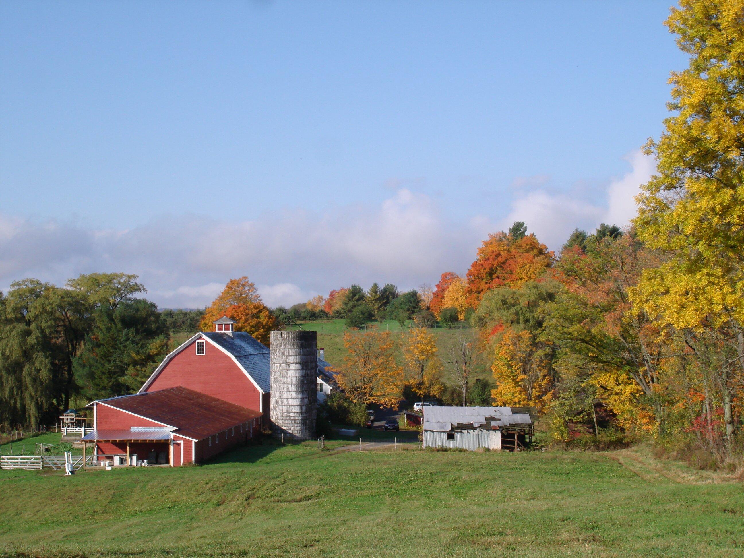 Walpole Valley Farms