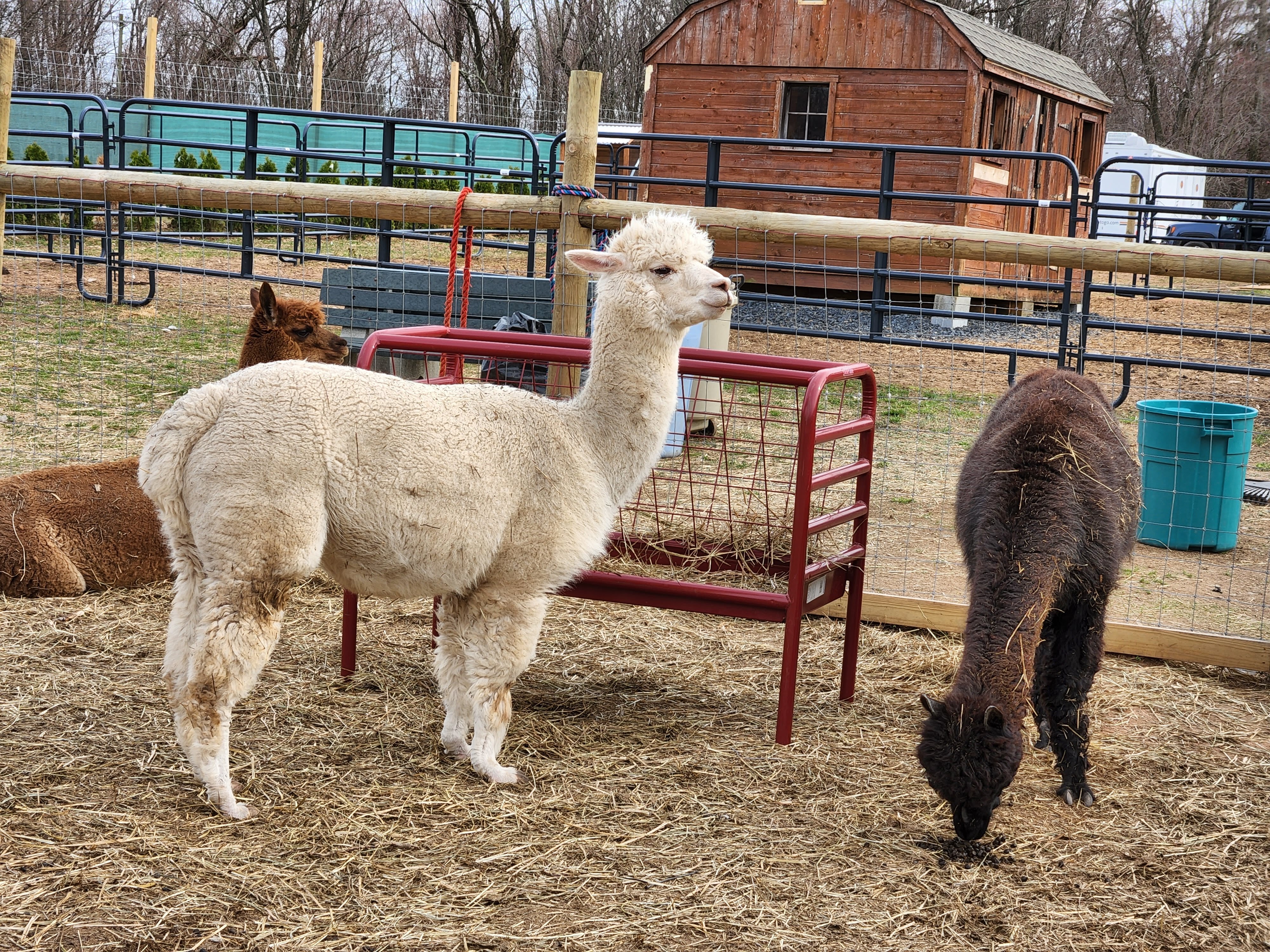 West Maple Farm