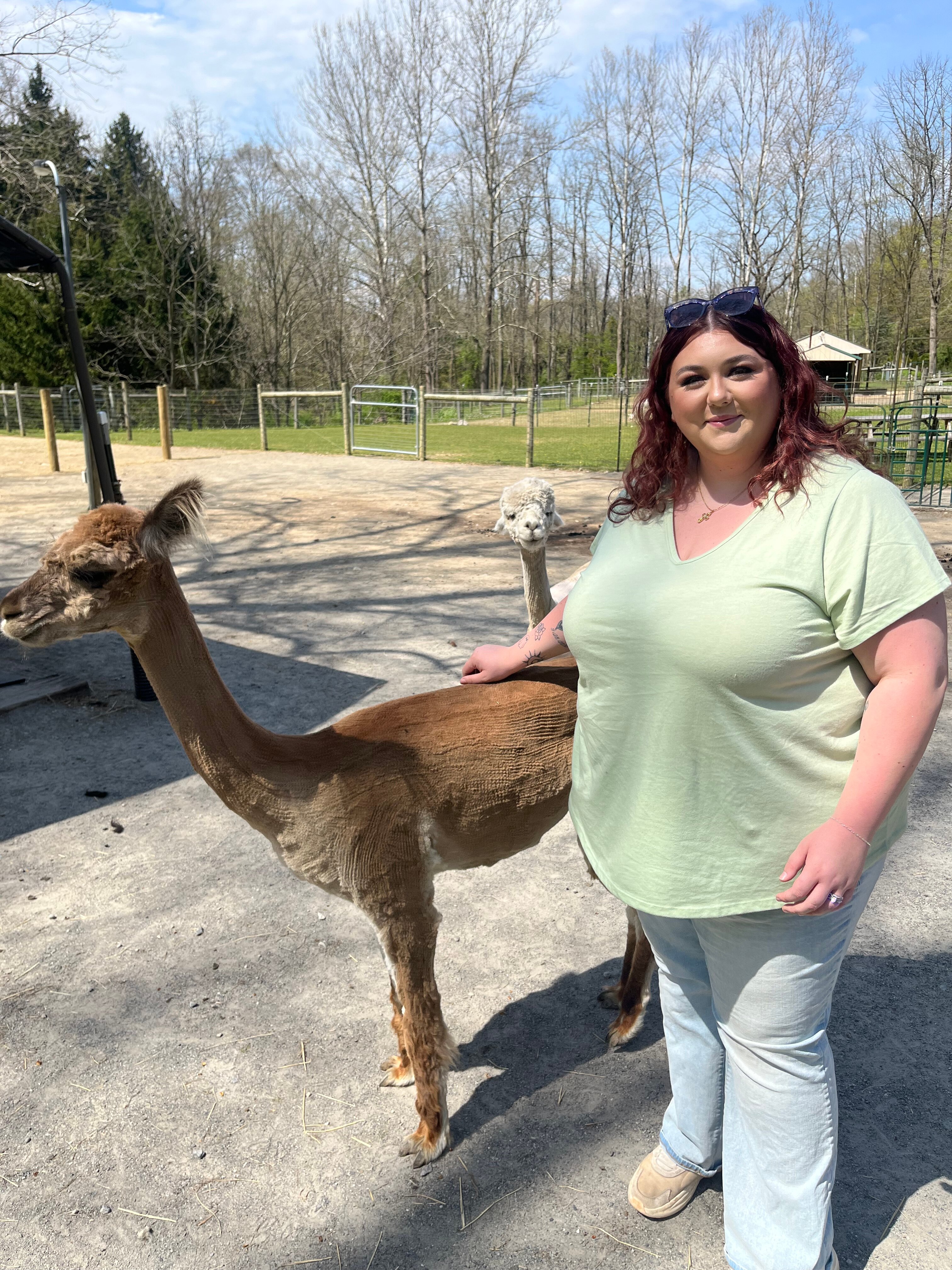 Hidden Brook Ranch Alpaca Tour