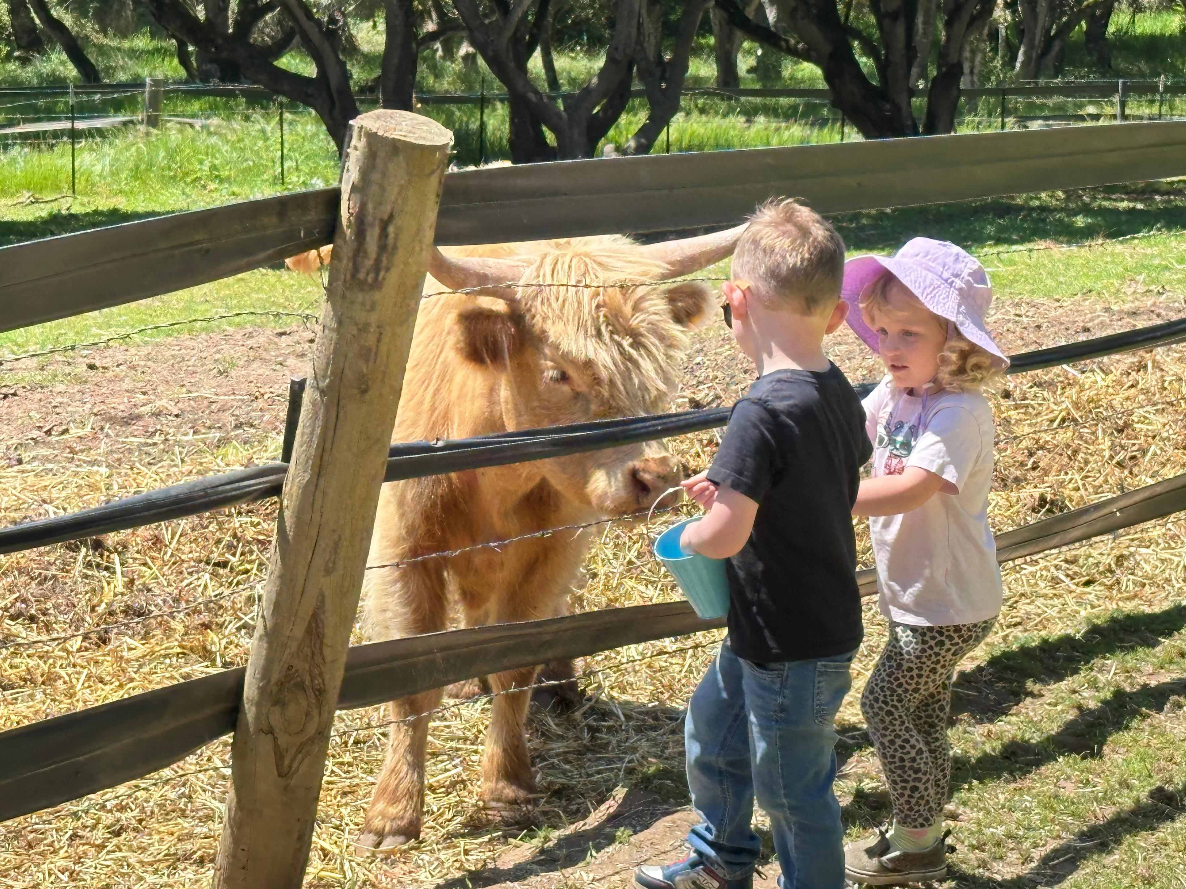 Bluebird Farm at the Latta Ranch