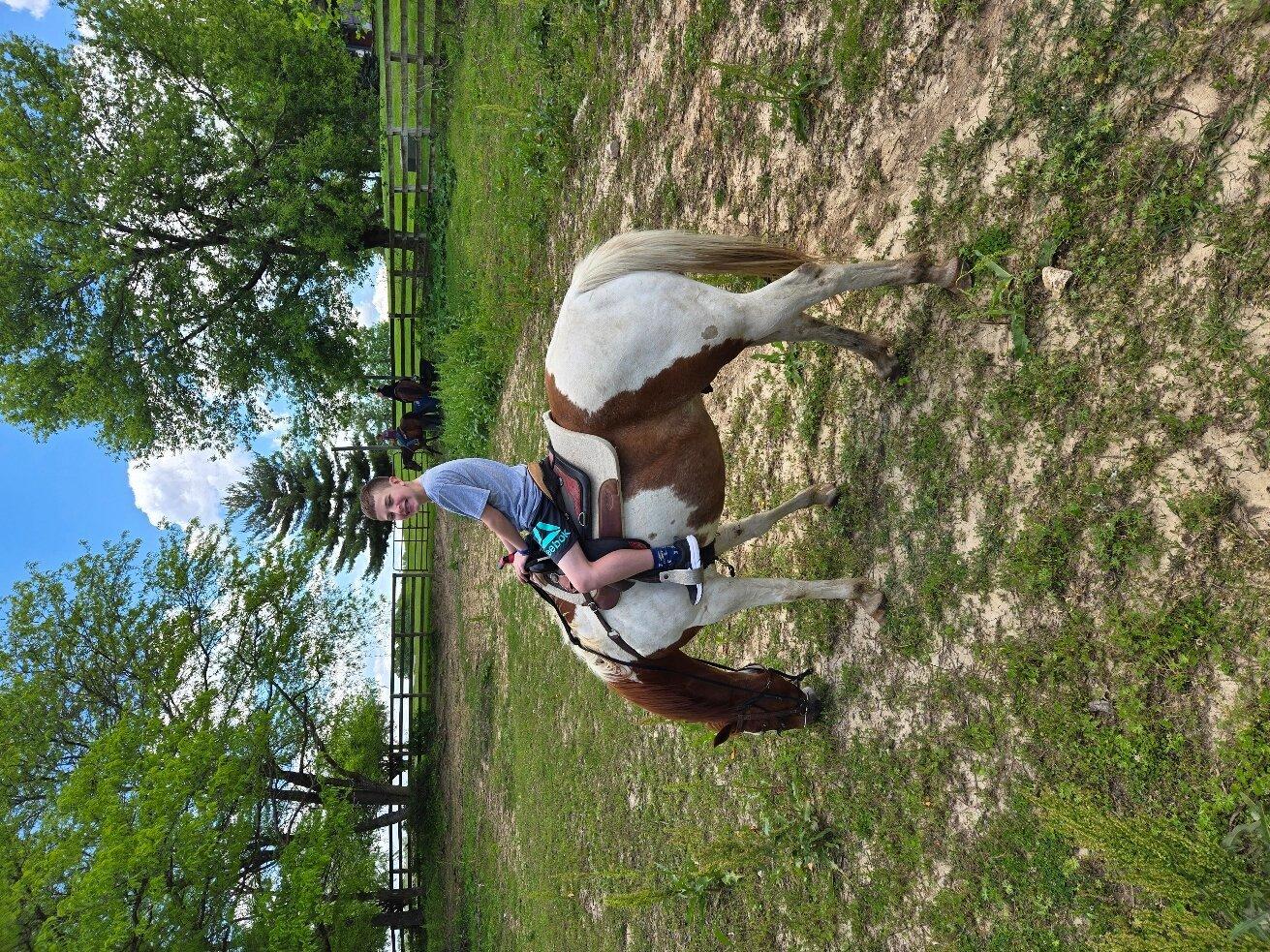 Wild Rose Equine Center