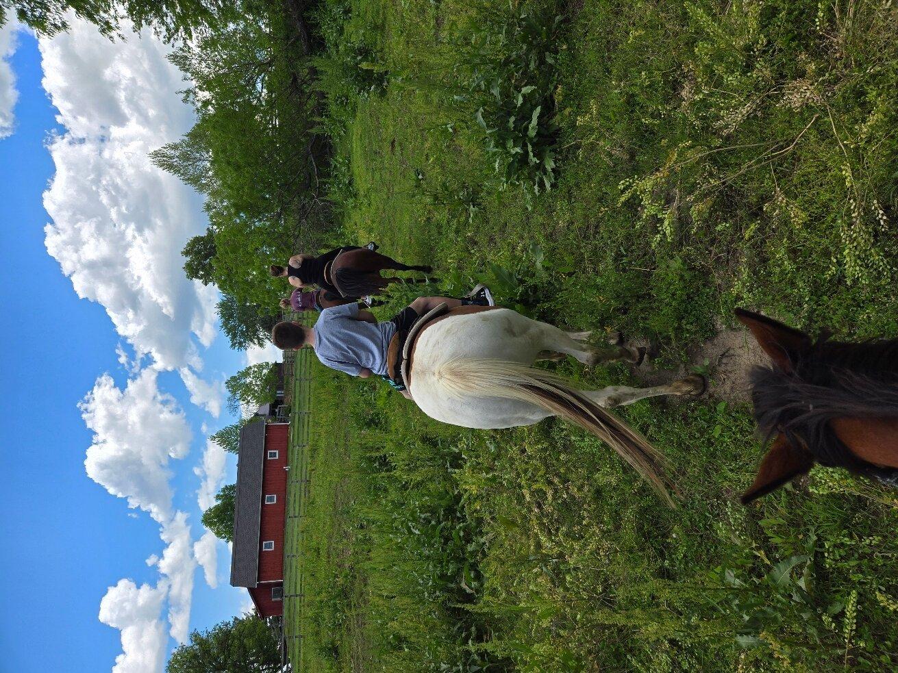 Wild Rose Equine Center