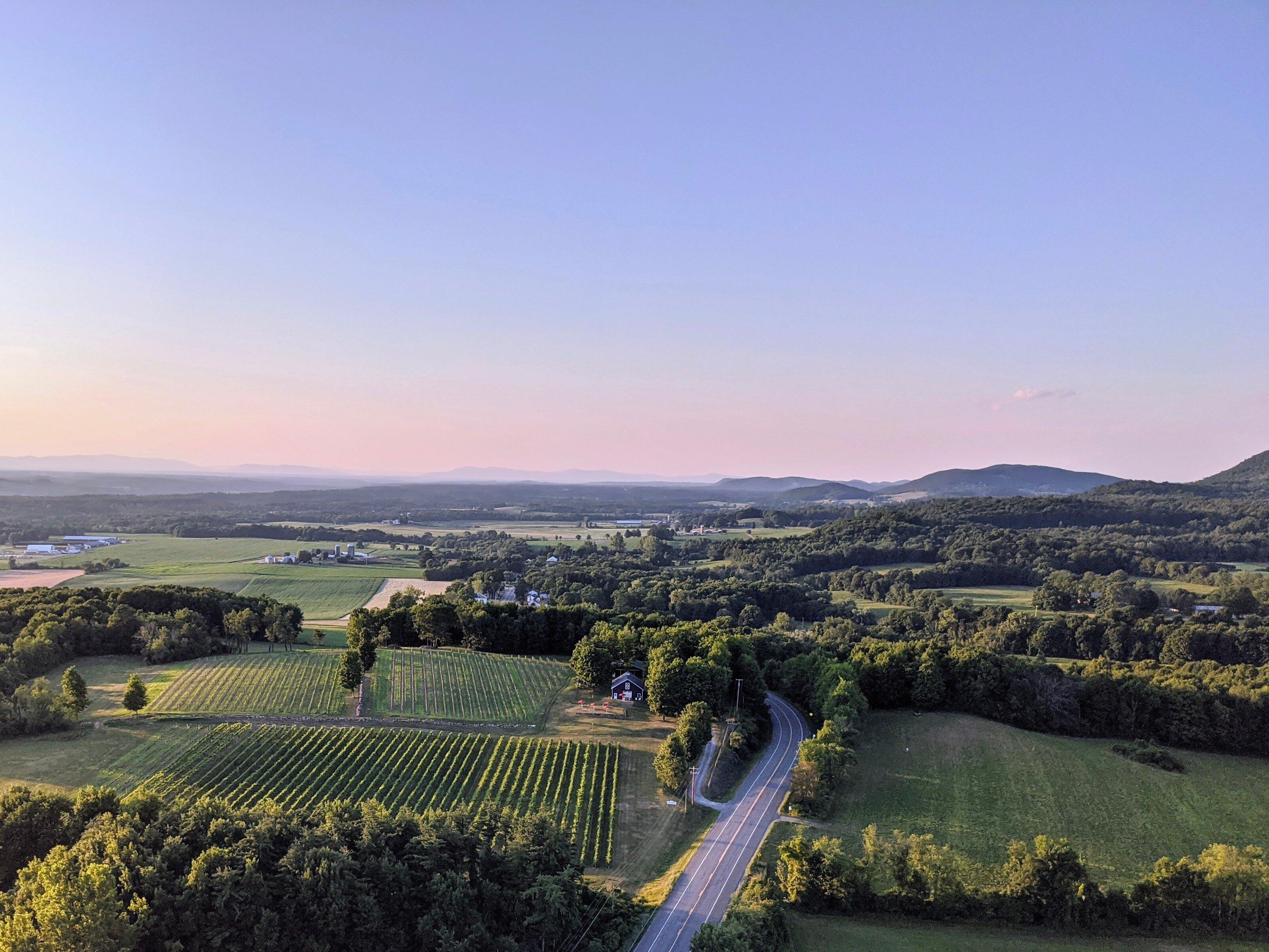 Victory View Vineyard