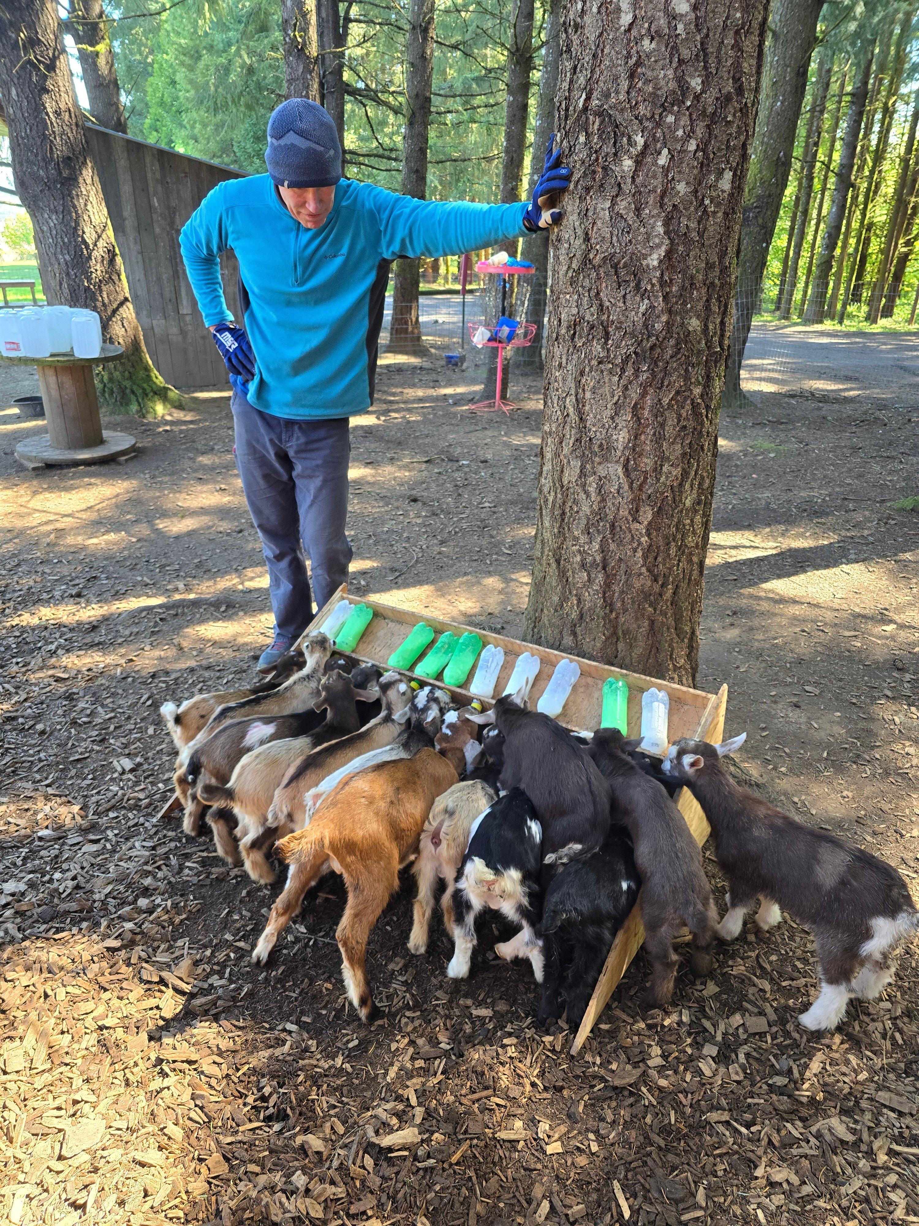 Portland Goat Parties