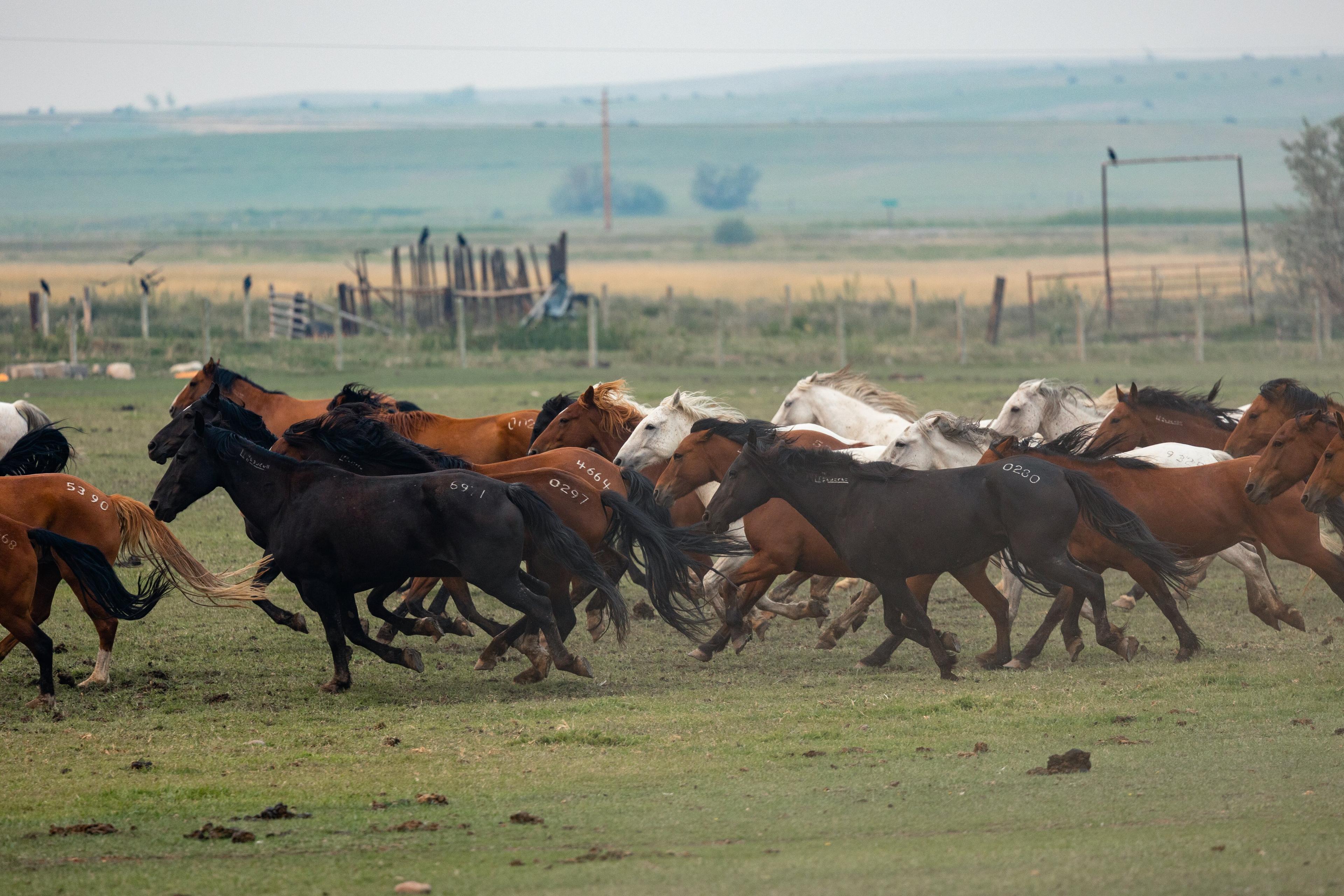 Photo by WindRiverCountry