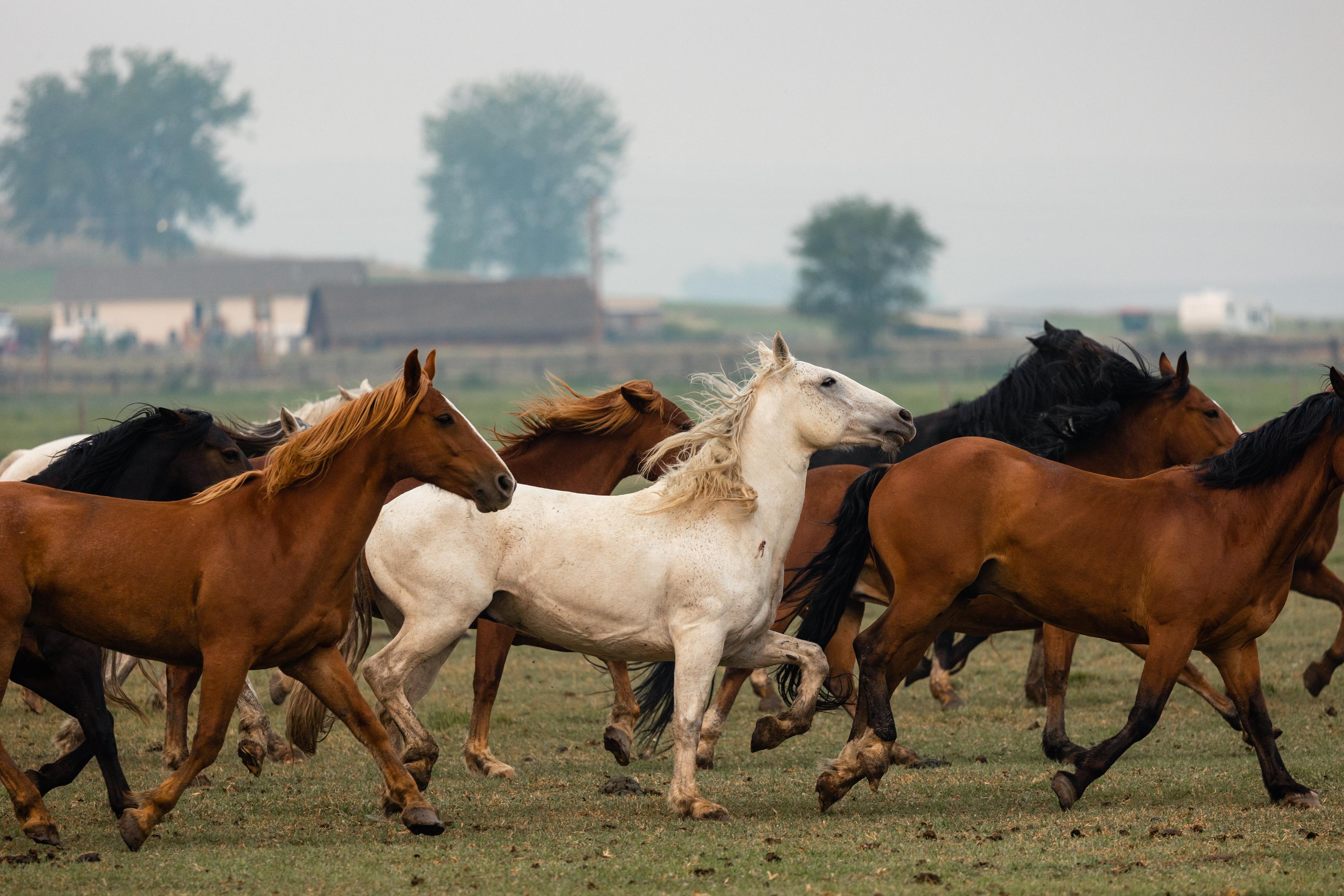 Photo by WindRiverCountry