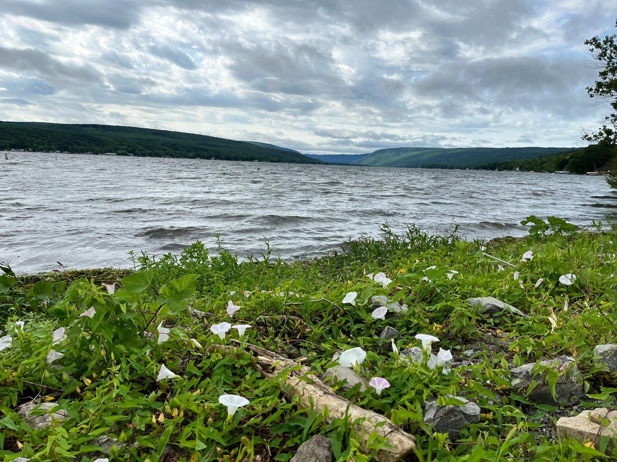 Honeoye Lake State Park