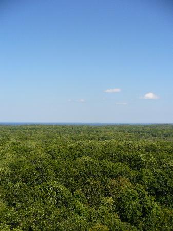 Mille Lacs Kathio State Park